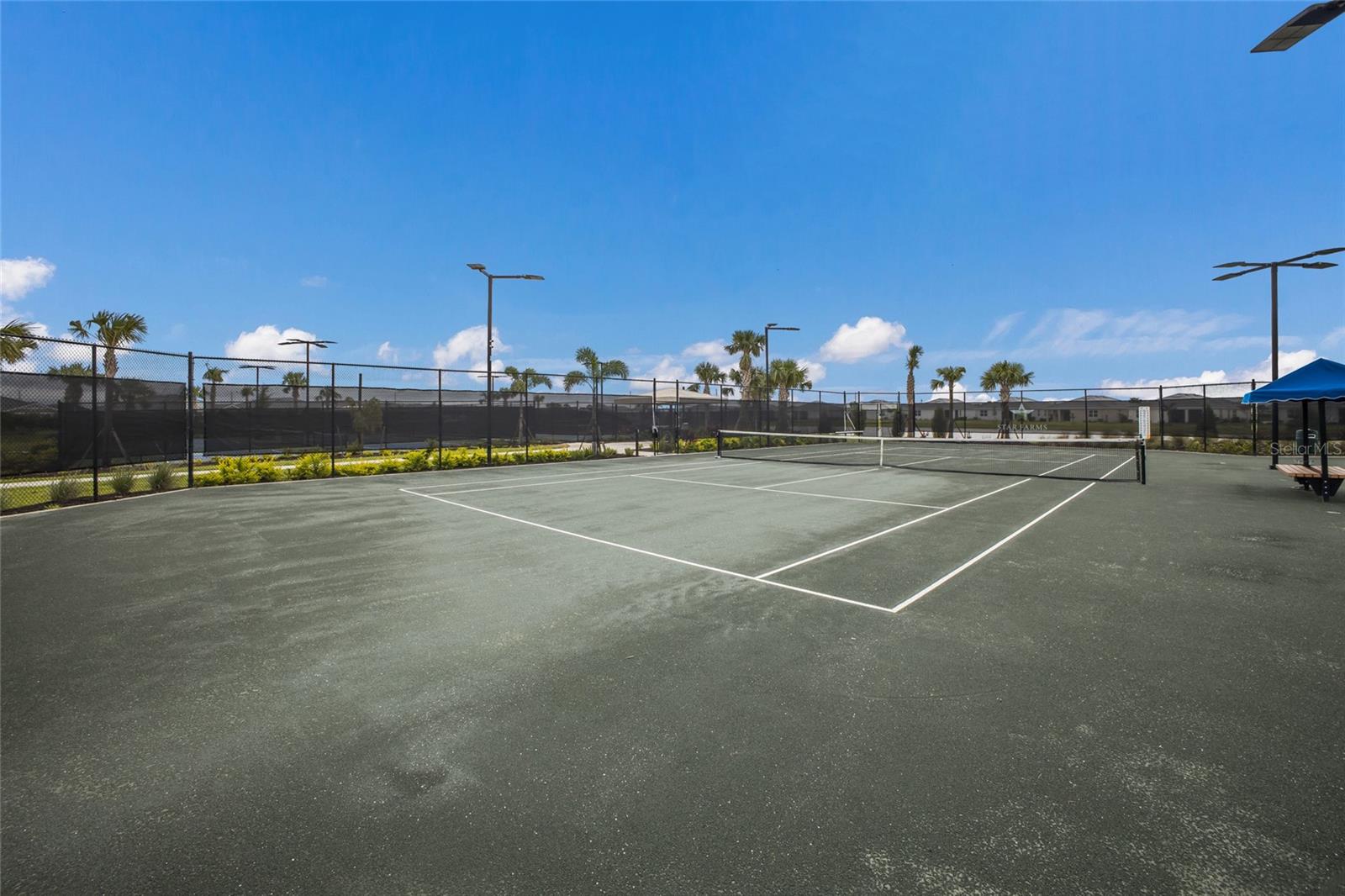 4341 DAIRY CT, LAKEWOOD RANCH, FL, 34211