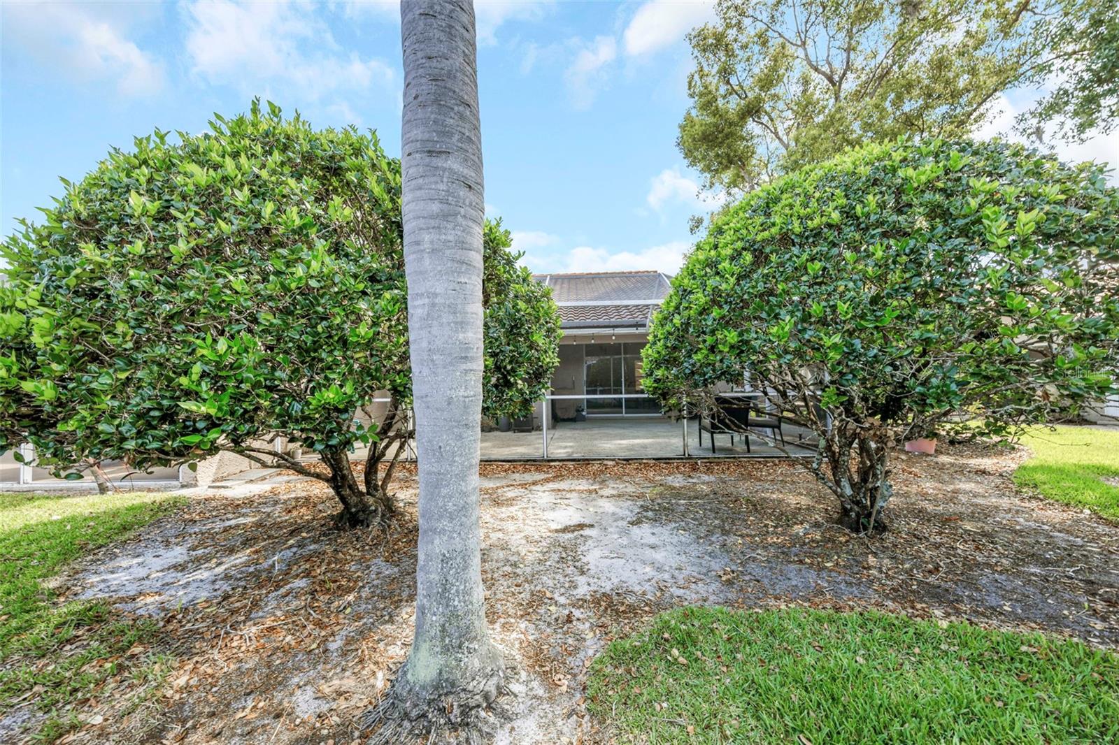3838 MUIRFIELD CT, PALM HARBOR, FL, 34685