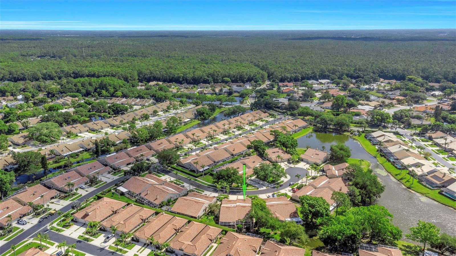 3838 MUIRFIELD CT, PALM HARBOR, FL, 34685