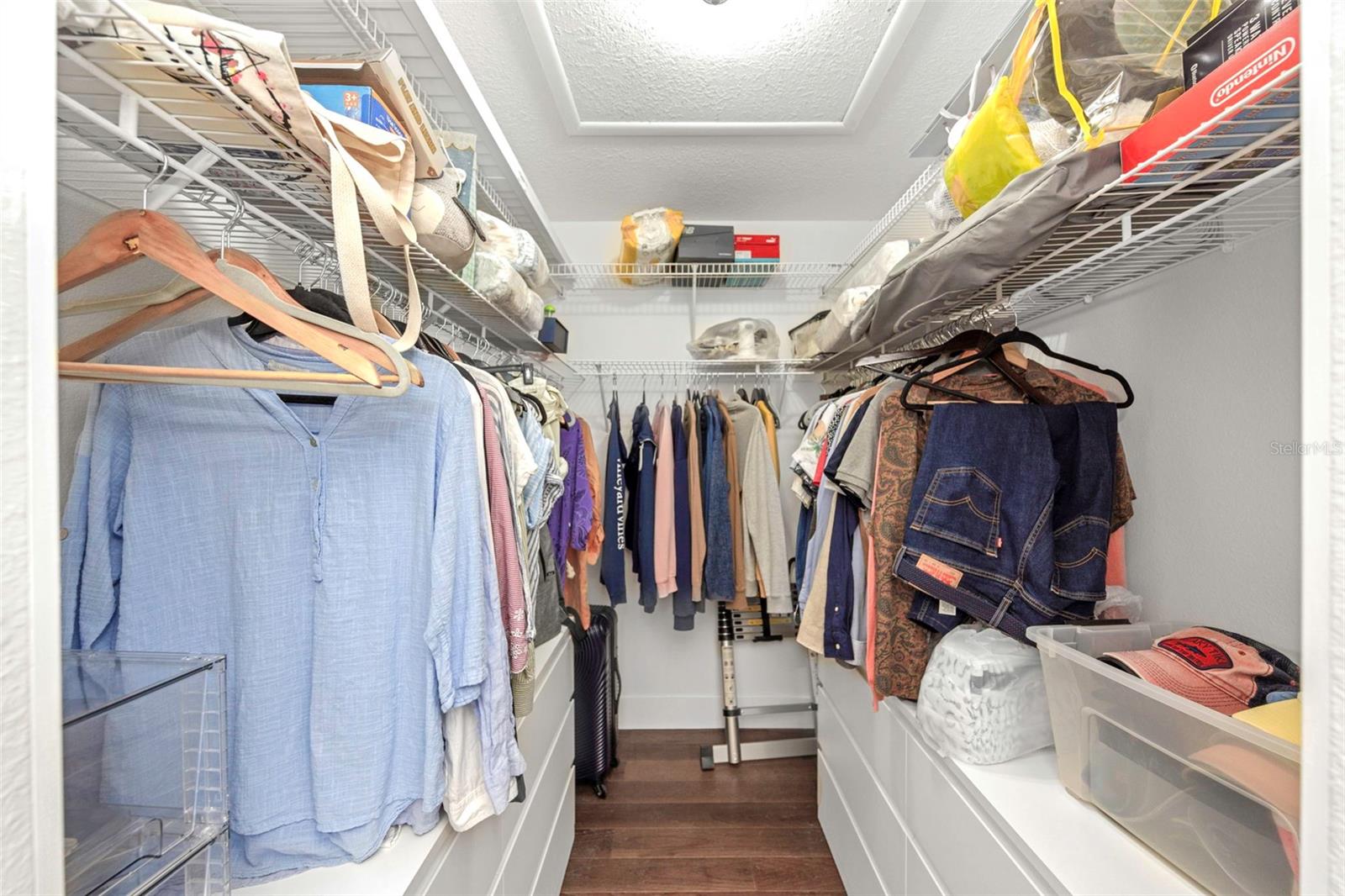 3838 MUIRFIELD CT, PALM HARBOR, FL, 34685