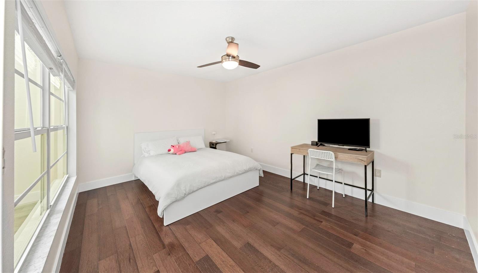 3838 MUIRFIELD CT, PALM HARBOR, FL, 34685