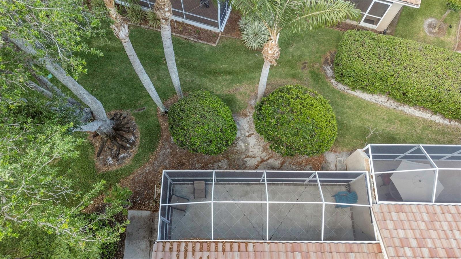 3838 MUIRFIELD CT, PALM HARBOR, FL, 34685