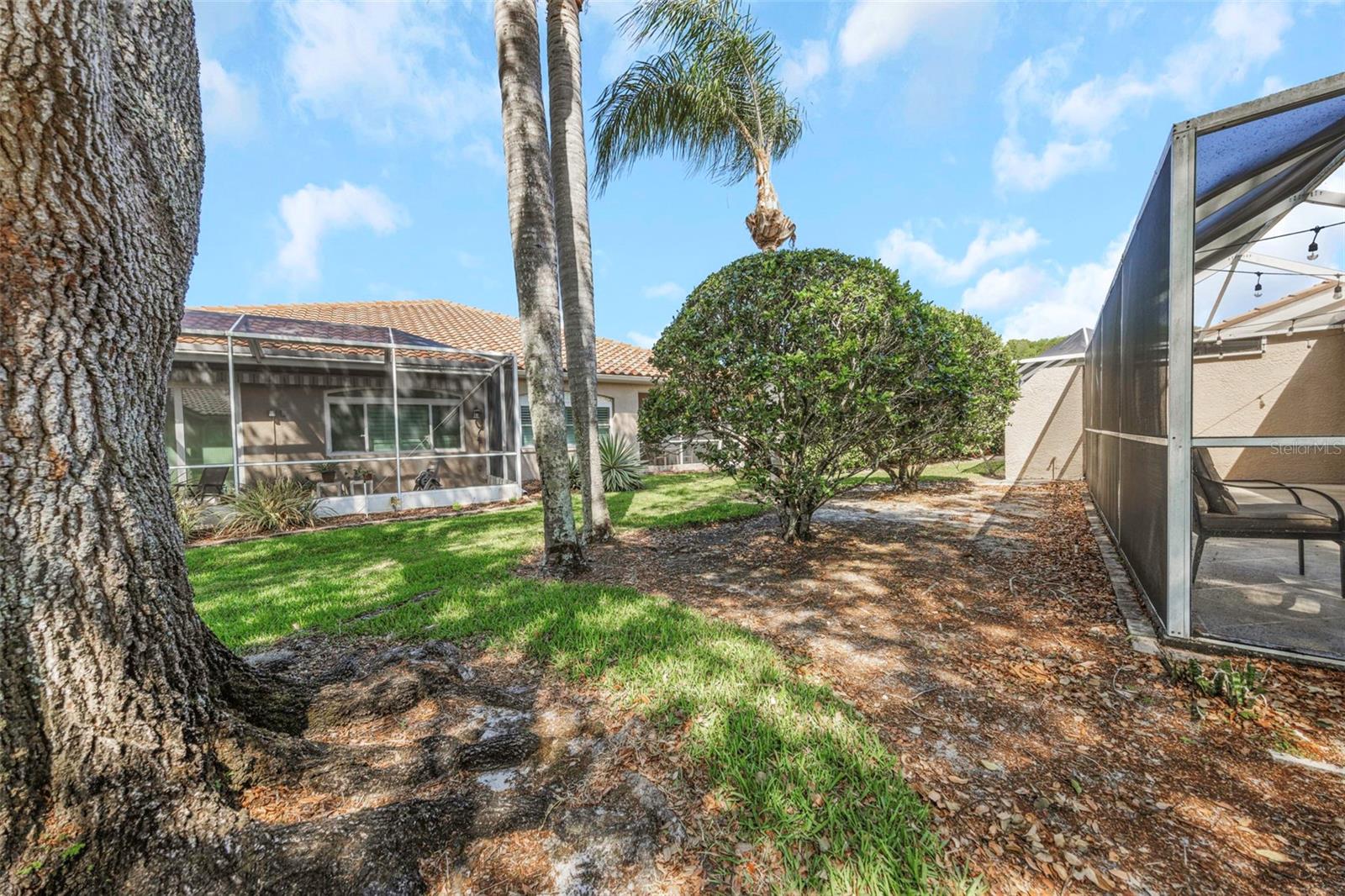 3838 MUIRFIELD CT, PALM HARBOR, FL, 34685