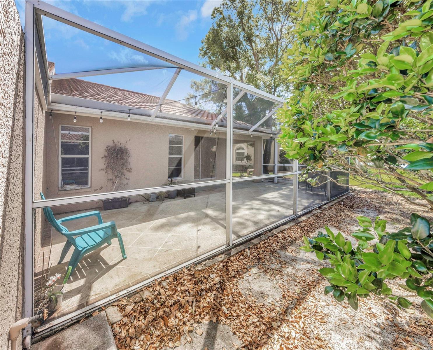 3838 MUIRFIELD CT, PALM HARBOR, FL, 34685