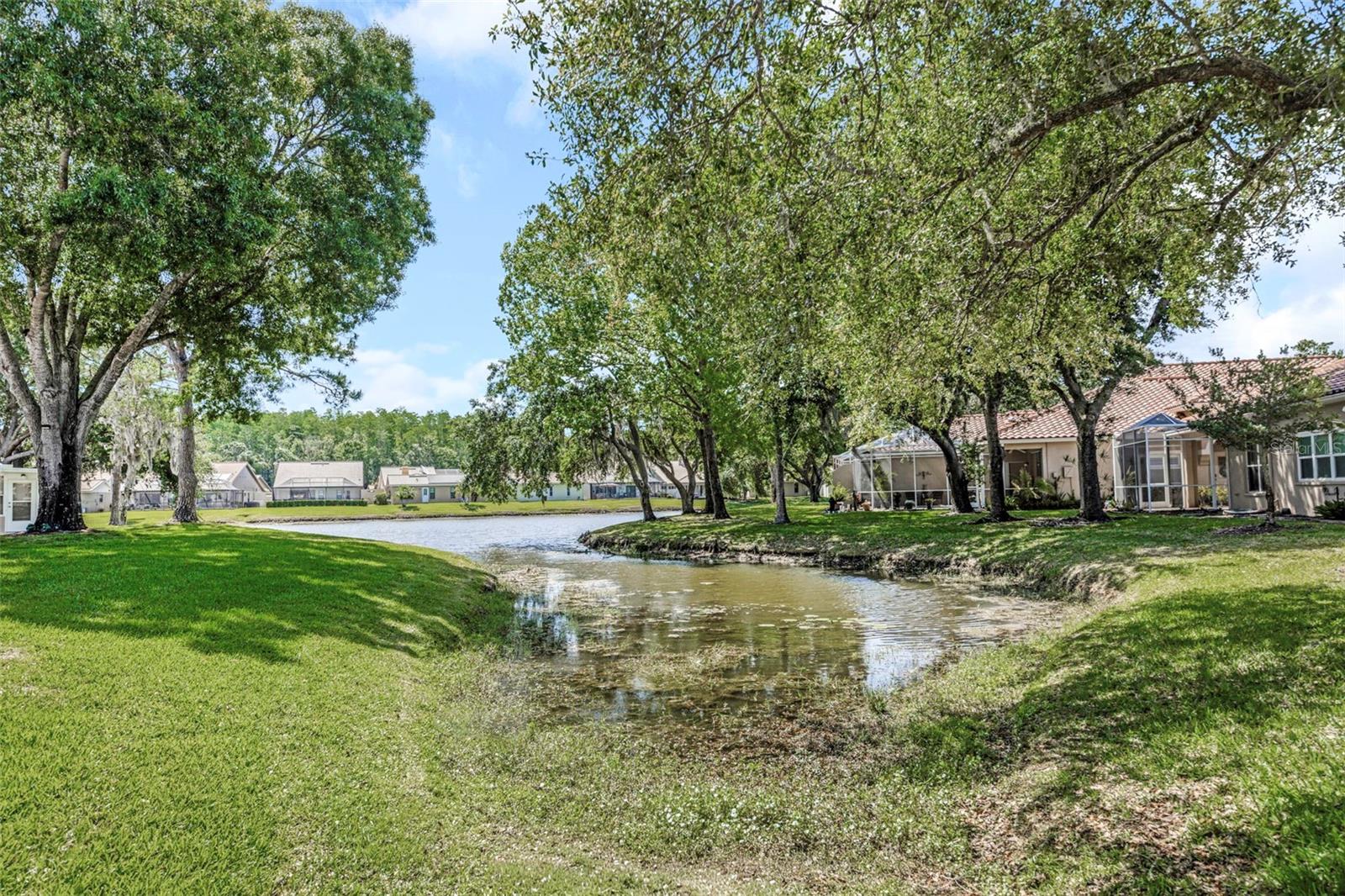 3838 MUIRFIELD CT, PALM HARBOR, FL, 34685