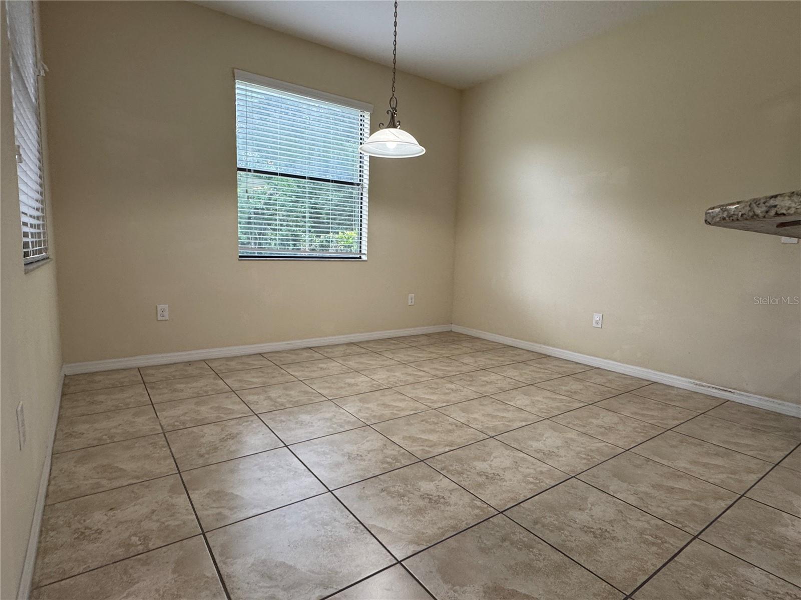 20044 DATE PALM WAY, TAMPA, FL, 33647