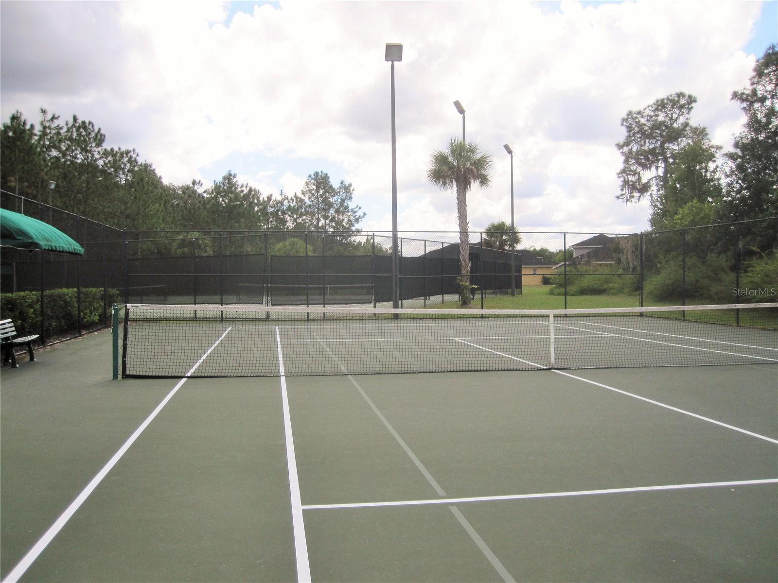 20044 DATE PALM WAY, TAMPA, FL, 33647