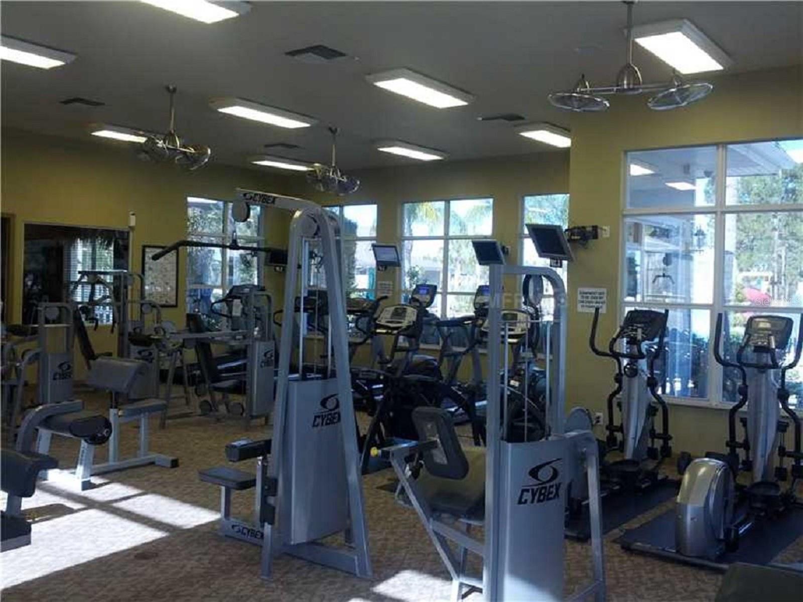 20044 DATE PALM WAY, TAMPA, FL, 33647