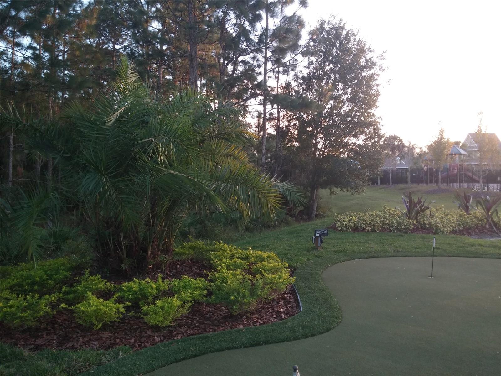 20044 DATE PALM WAY, TAMPA, FL, 33647