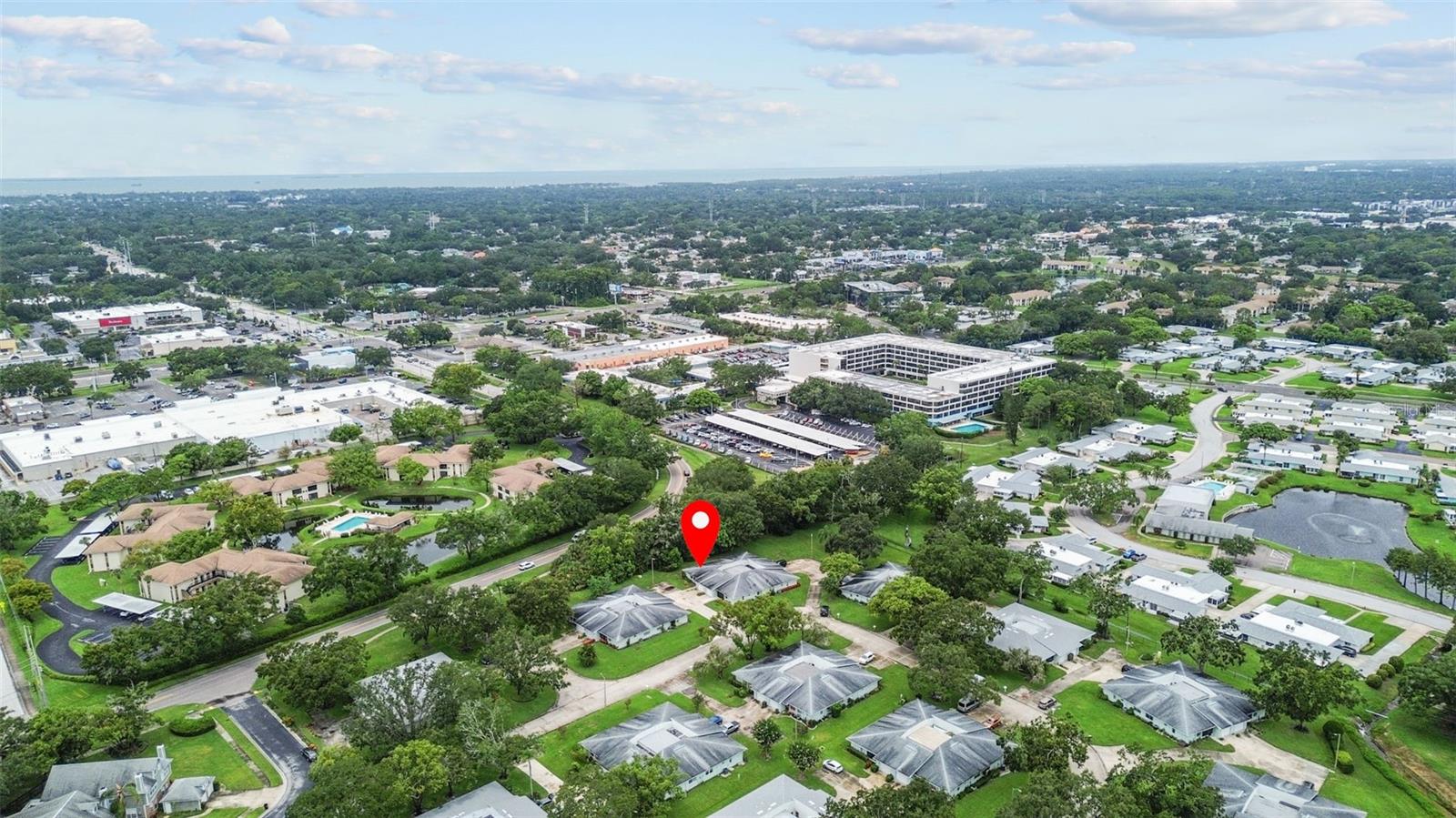 1163 ORANGE TREE CIR W #D, PALM HARBOR, FL, 34684