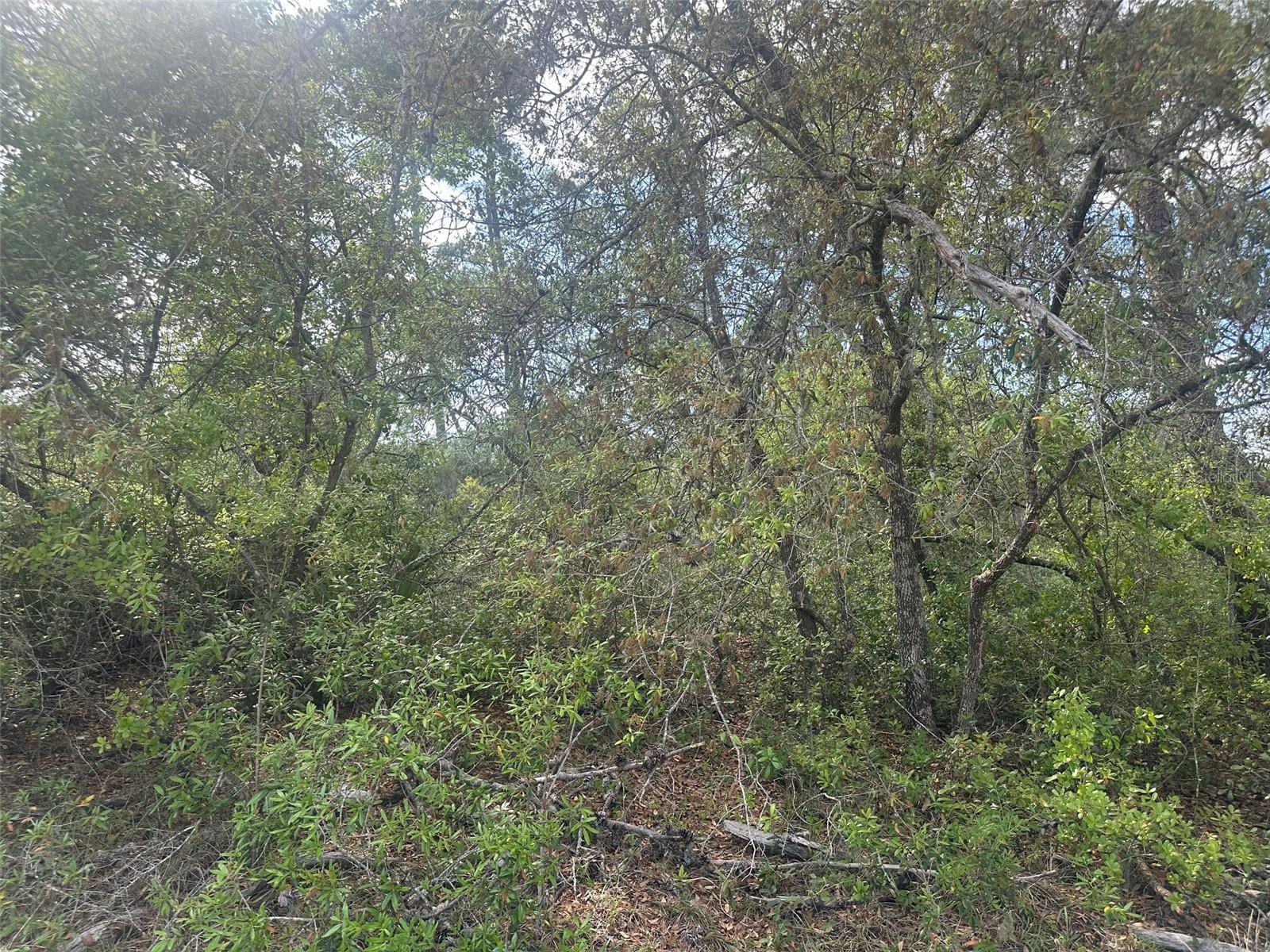 Lot 6 SW 170TH PL, OCALA, FL, 34473