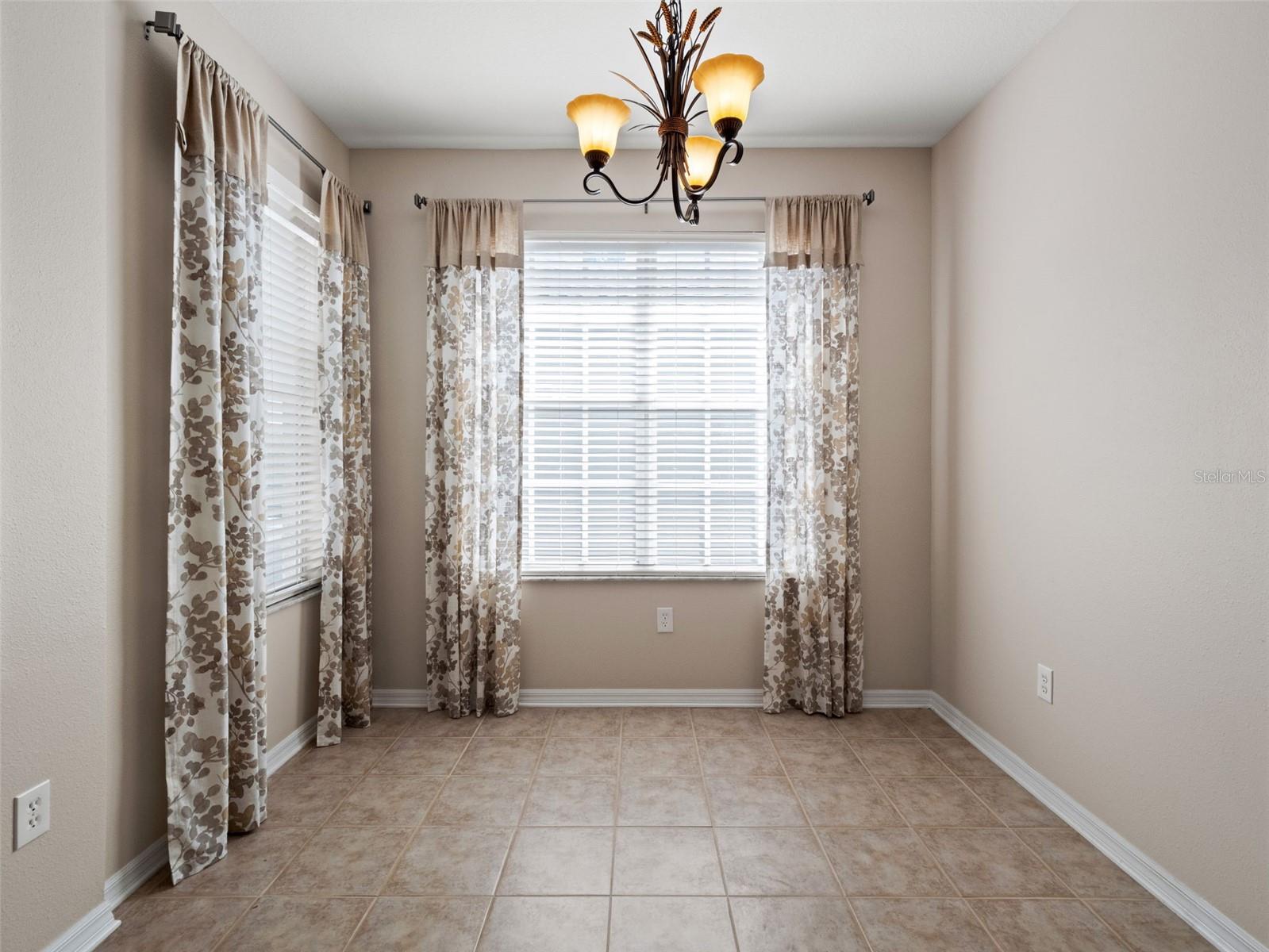 19233 BARRED OWL CT, LAND O LAKES, FL, 34638