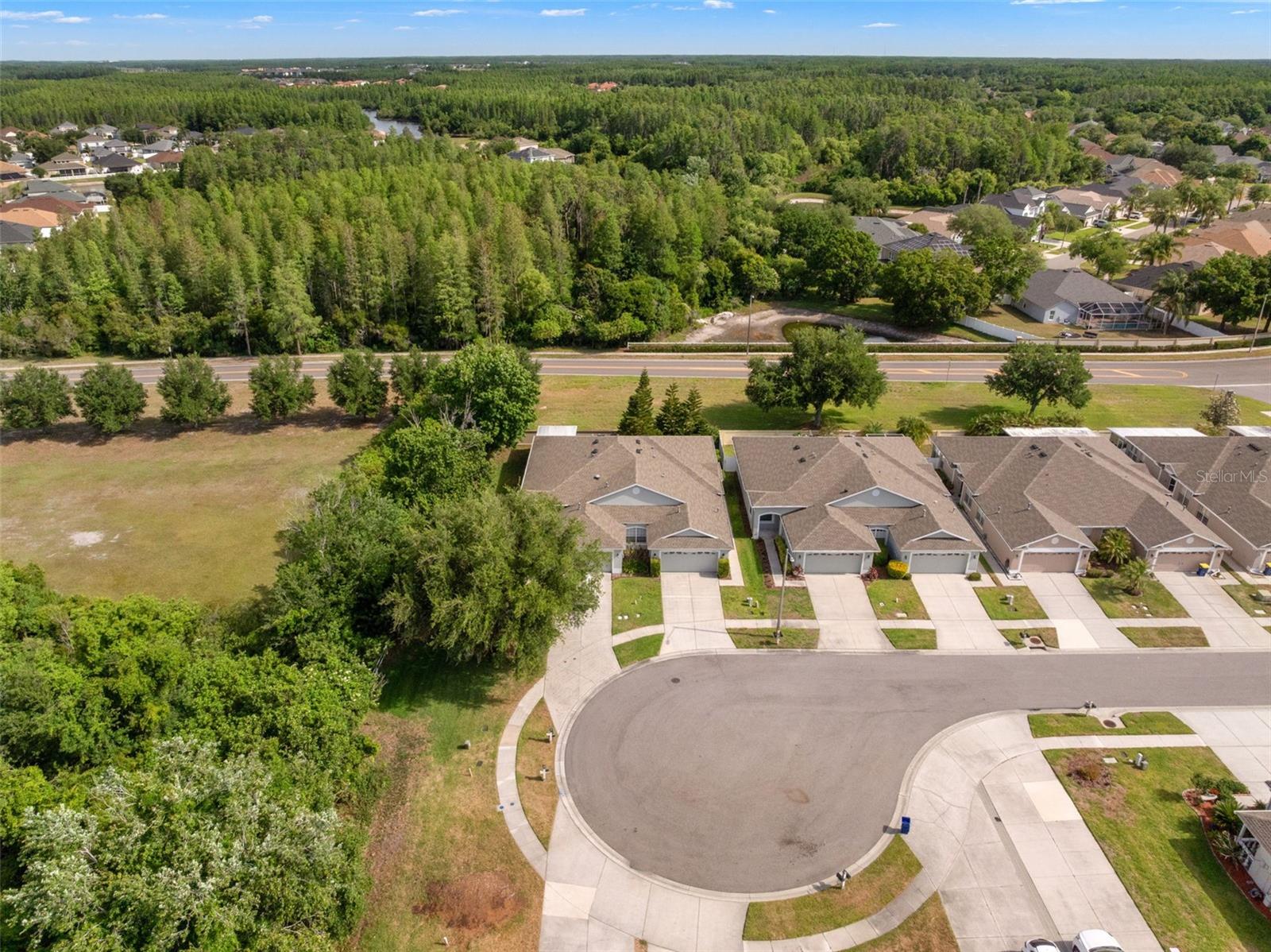 19233 BARRED OWL CT, LAND O LAKES, FL, 34638