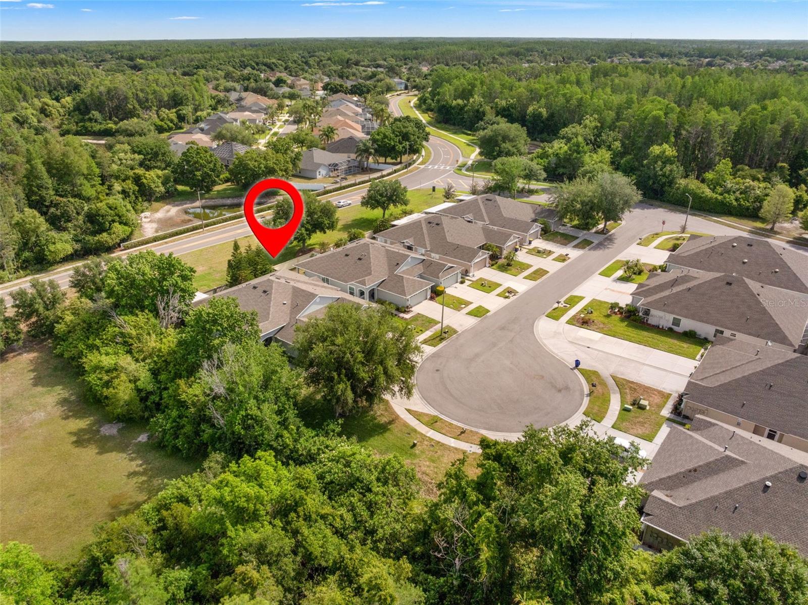 19233 BARRED OWL CT, LAND O LAKES, FL, 34638