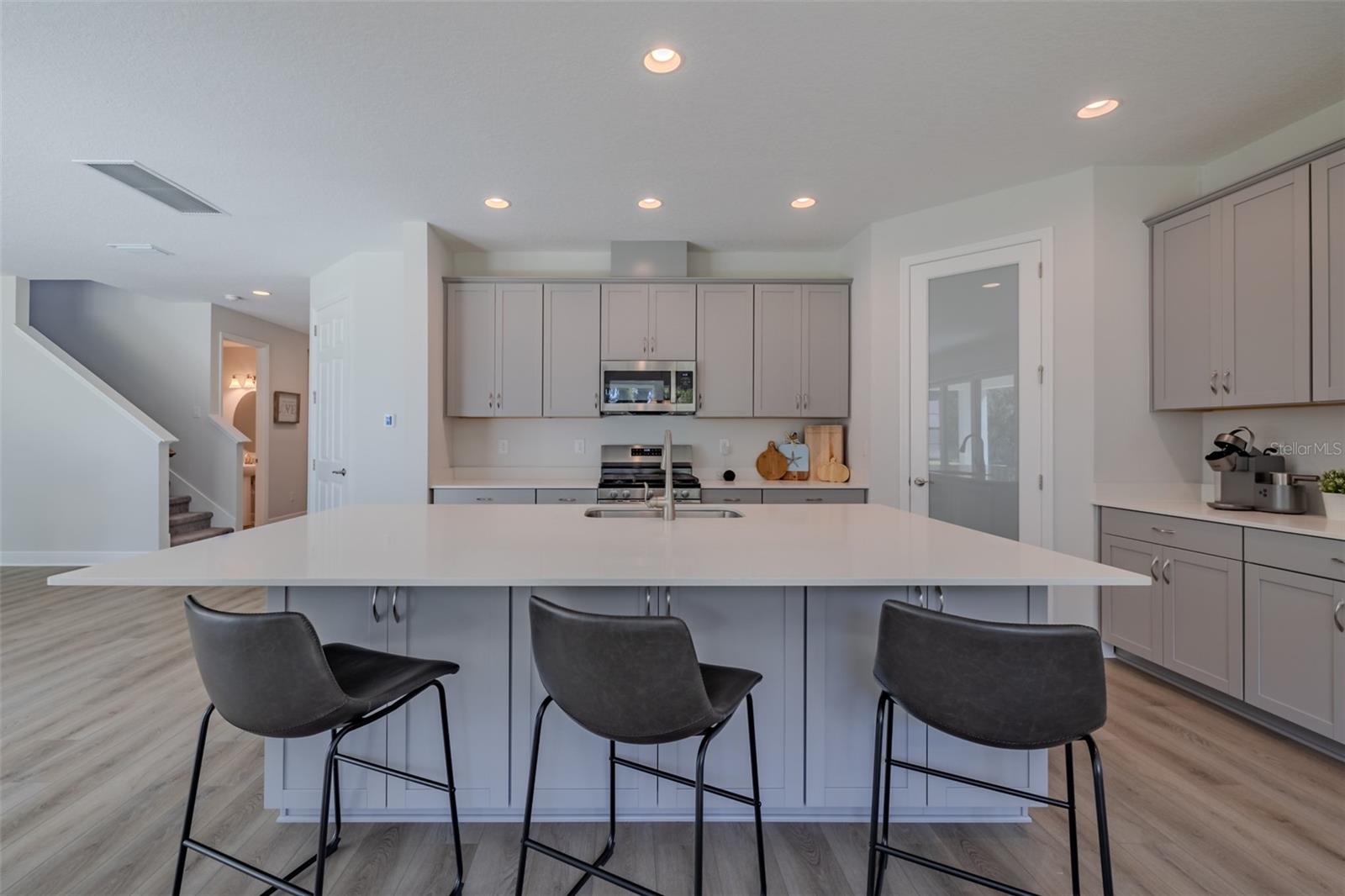 14733 GALLOP RUN DR, LITHIA, FL, 33547