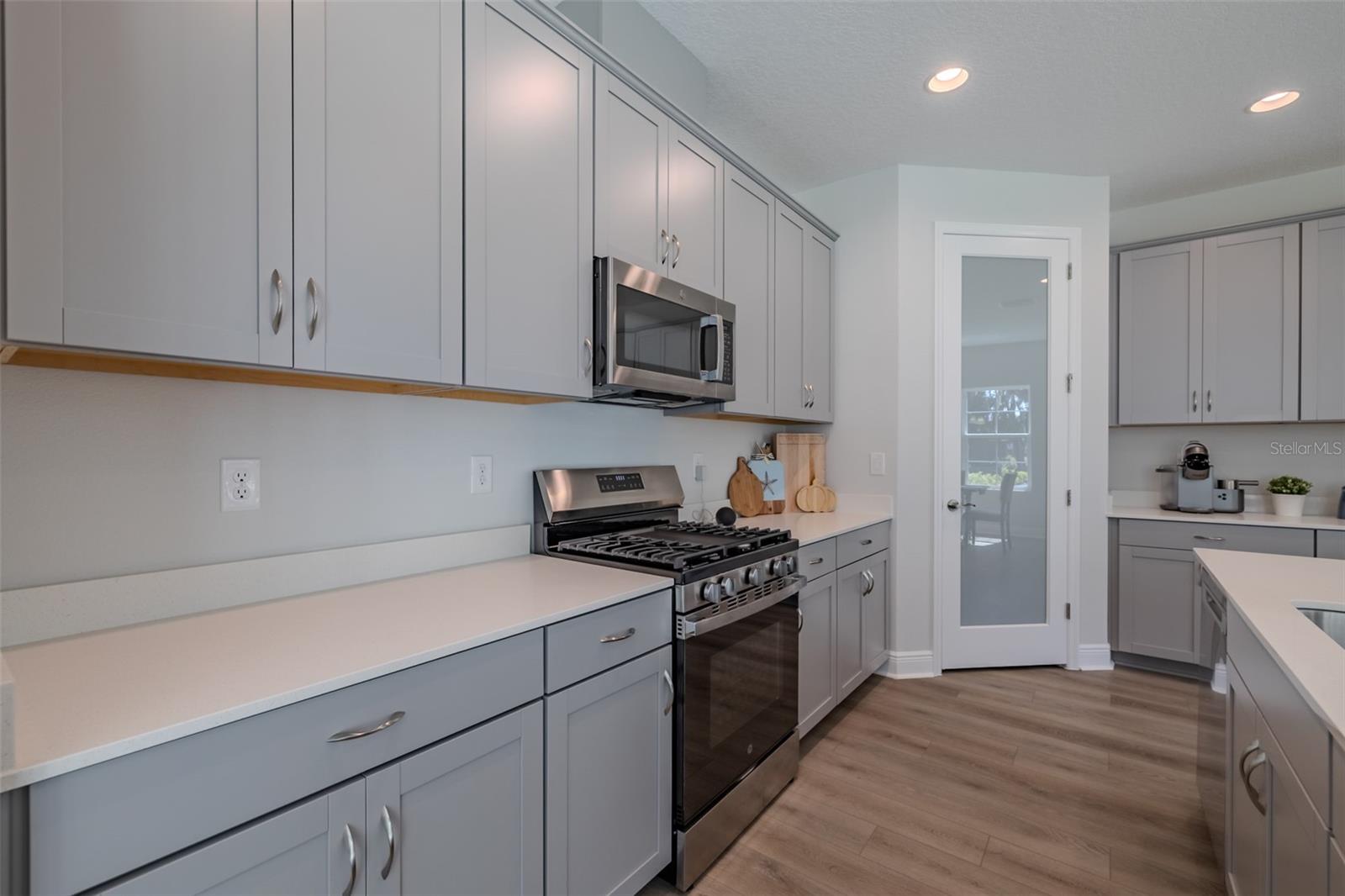 14733 GALLOP RUN DR, LITHIA, FL, 33547