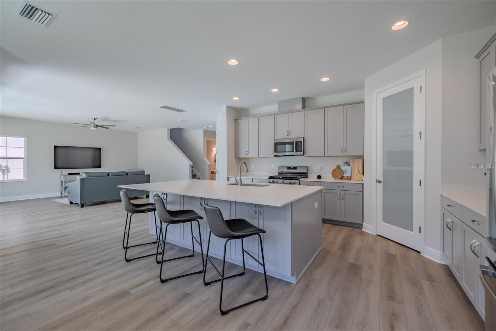 14733 GALLOP RUN DR, LITHIA, FL, 33547