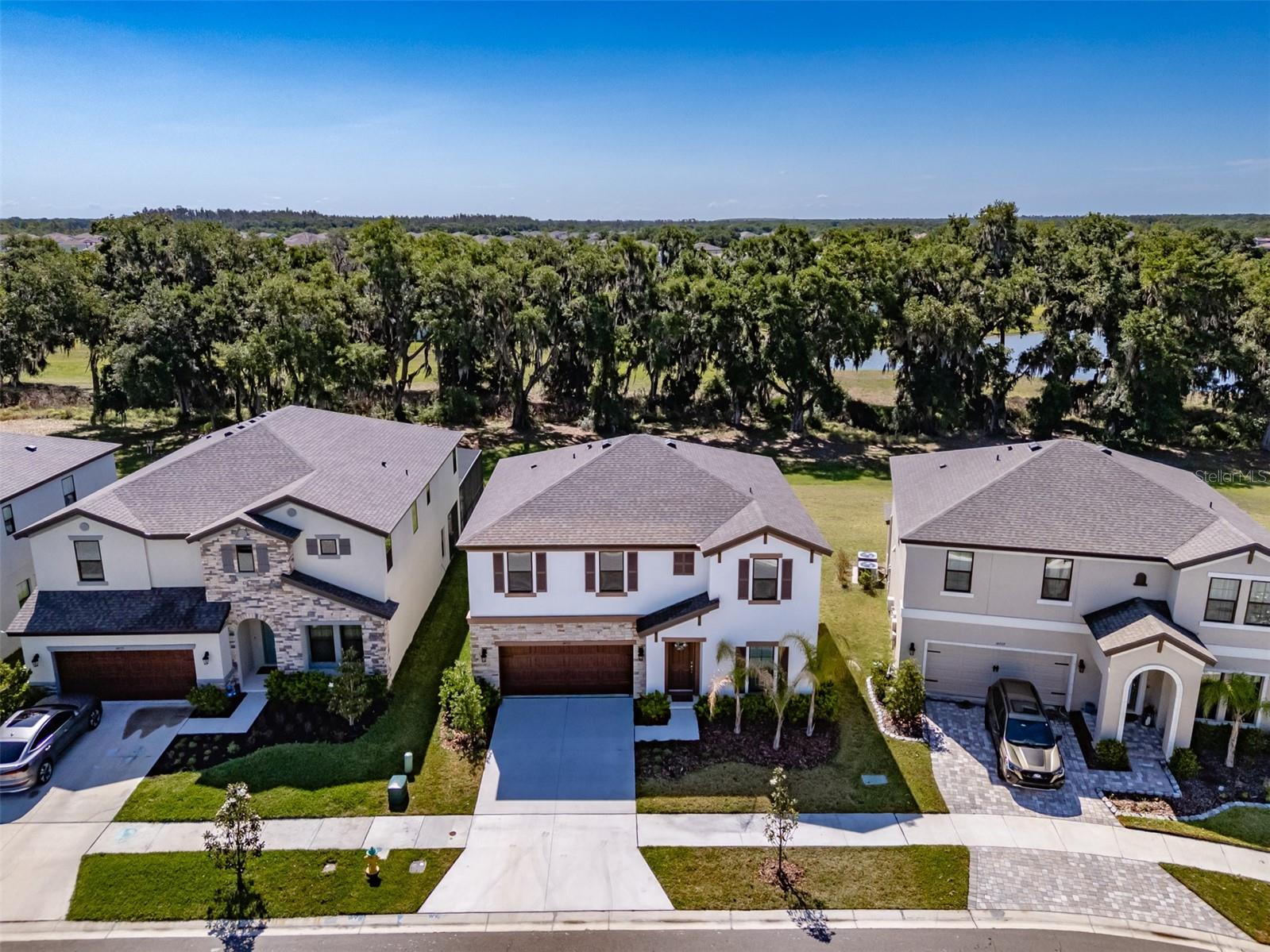 14733 GALLOP RUN DR, LITHIA, FL, 33547