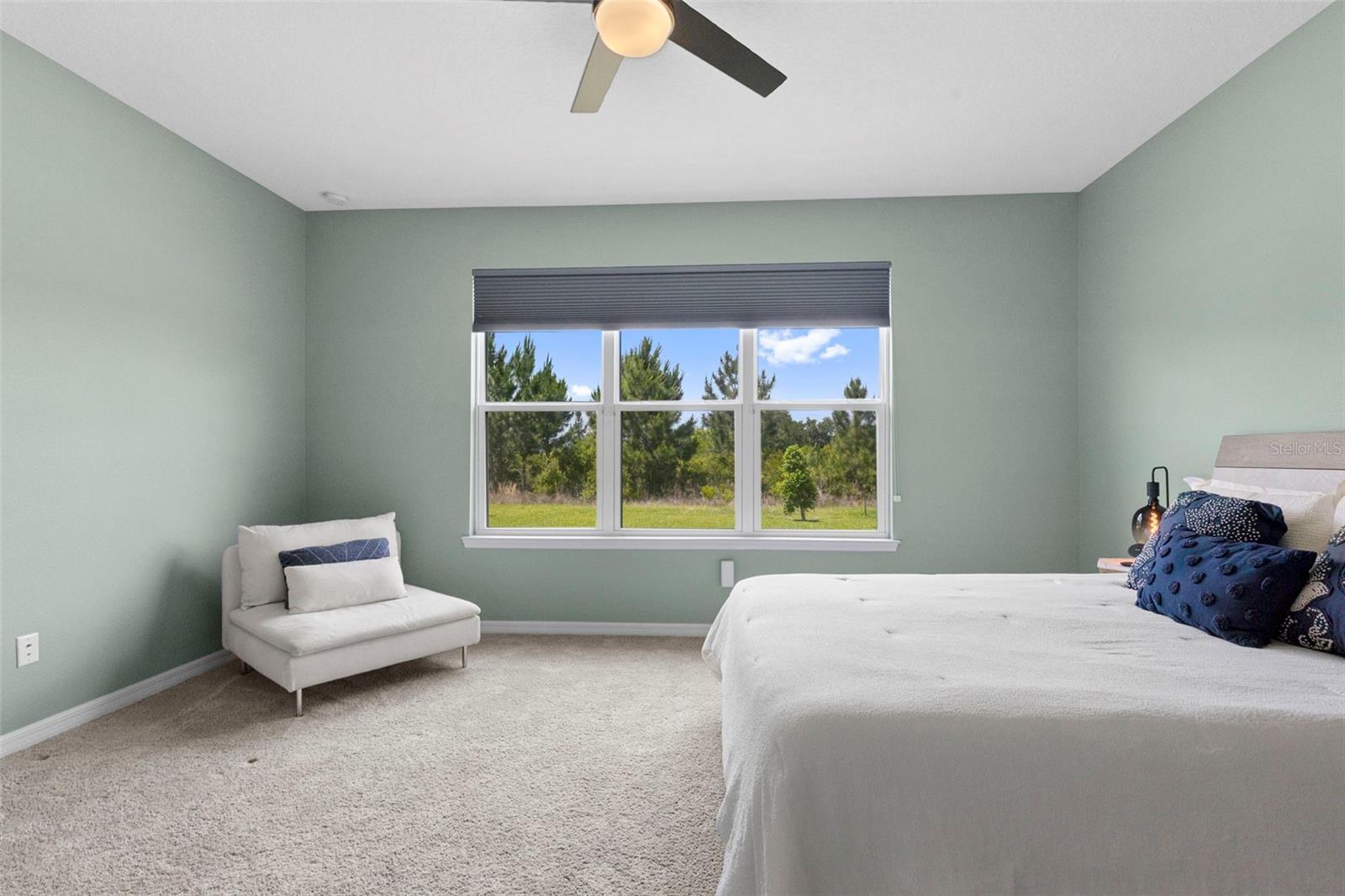 33410 CASTAWAY LOOP, WESLEY CHAPEL, FL, 33543