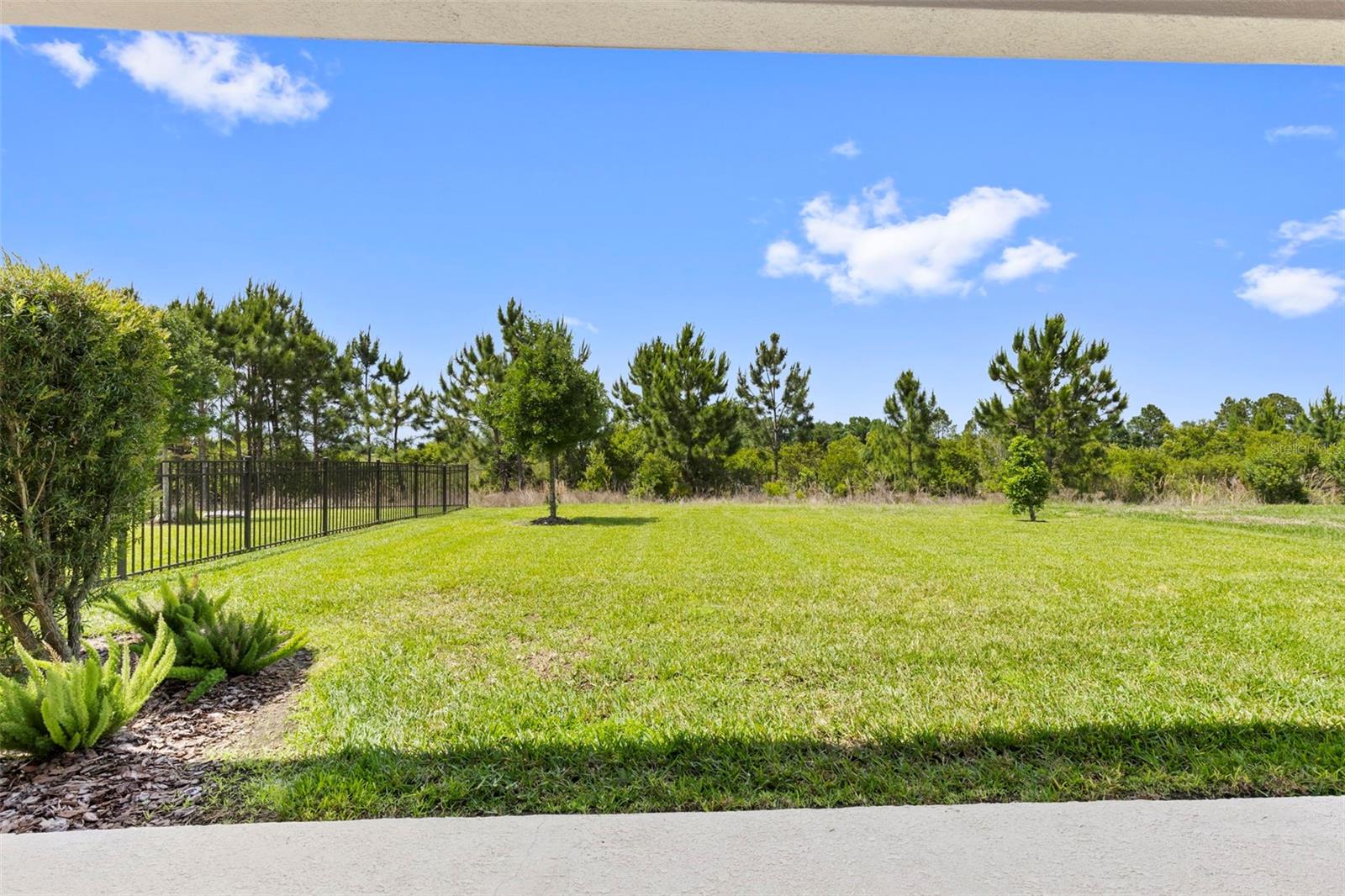33410 CASTAWAY LOOP, WESLEY CHAPEL, FL, 33543