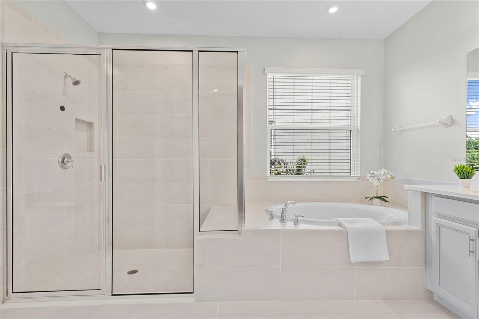 33410 CASTAWAY LOOP, WESLEY CHAPEL, FL, 33543