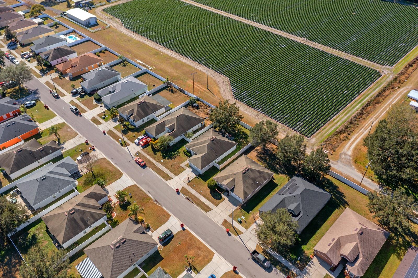 3609 TRAPNELL GROVE LOOP, PLANT CITY, FL, 33567