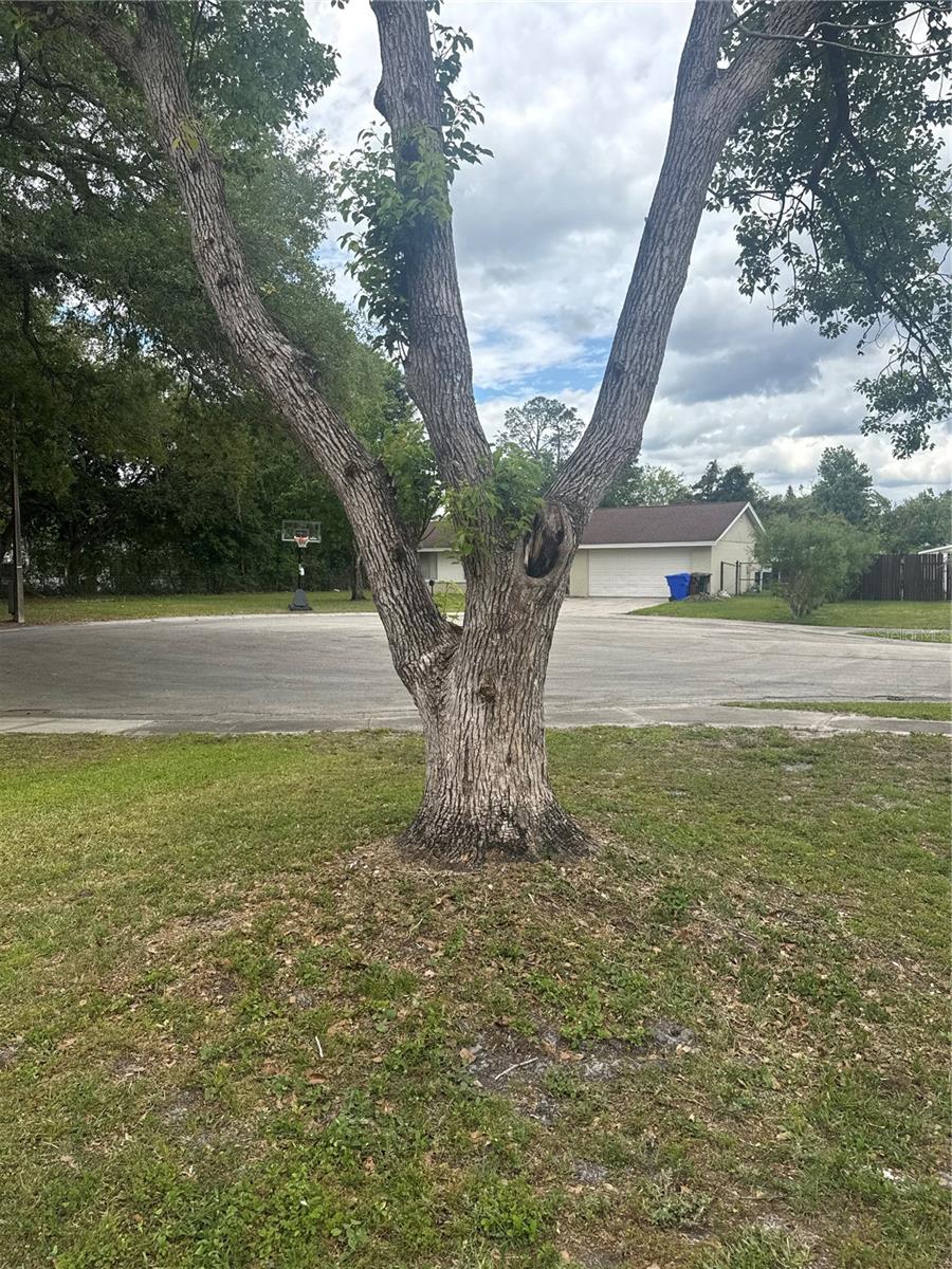 2329 PINE TREE CT, KISSIMMEE, FL, 34744