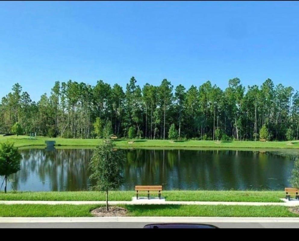 13375 GORGONA ISLE DR, WINDERMERE, FL, 34786