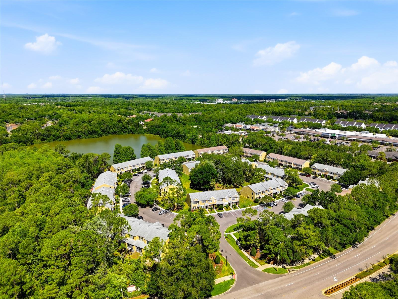 12367 BERKELEY SQUARE DR, TAMPA, FL, 33626