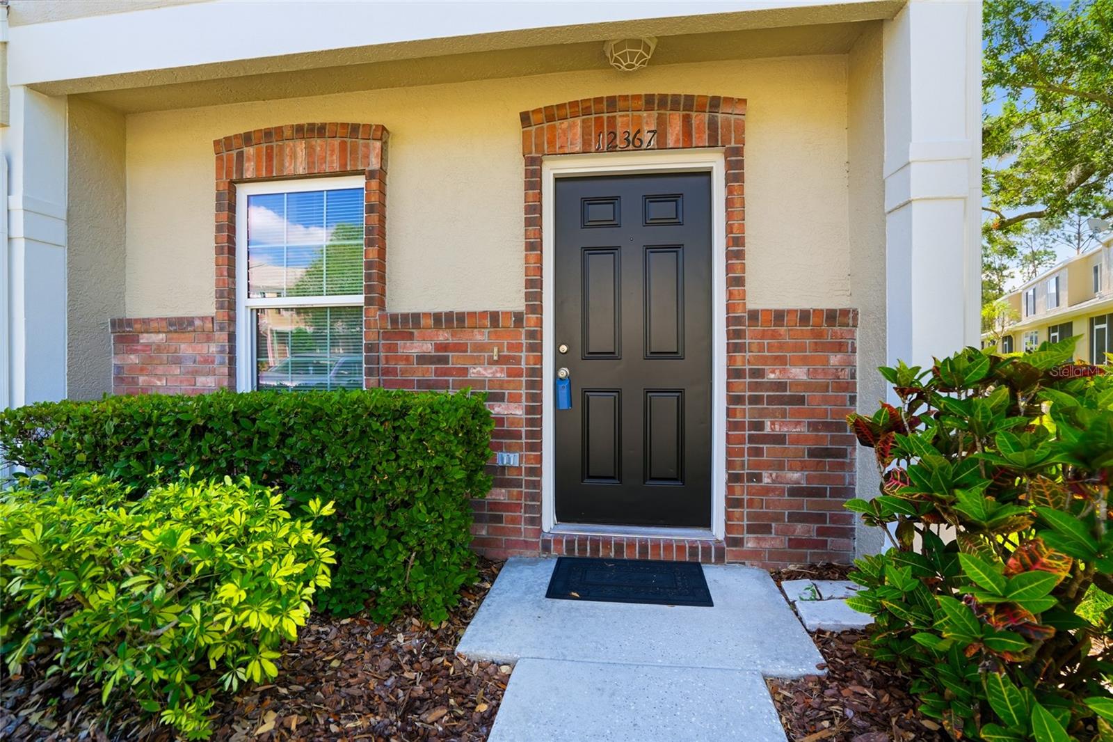 12367 BERKELEY SQUARE DR, TAMPA, FL, 33626