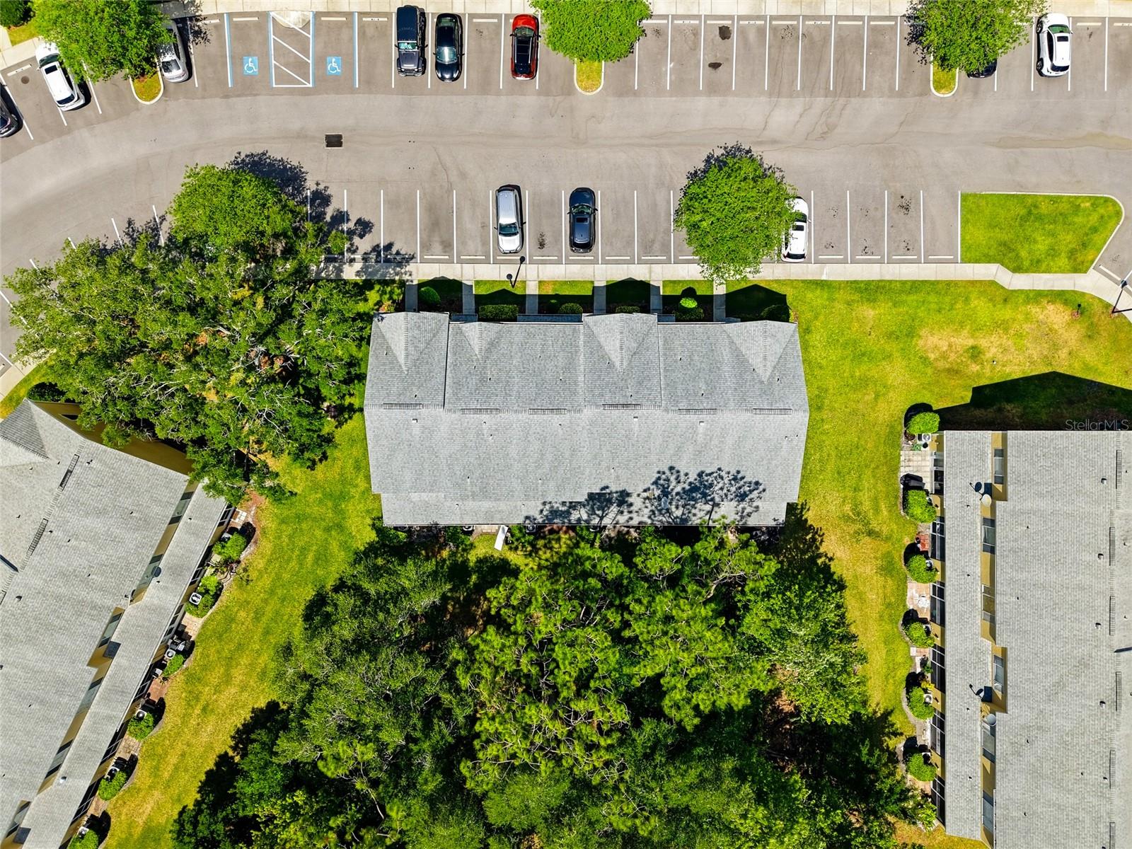 12367 BERKELEY SQUARE DR, TAMPA, FL, 33626