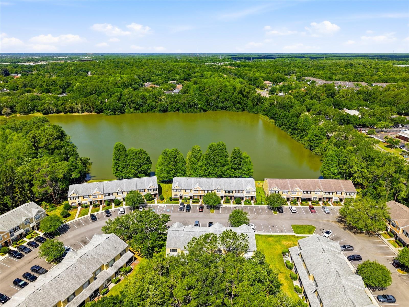 12367 BERKELEY SQUARE DR, TAMPA, FL, 33626