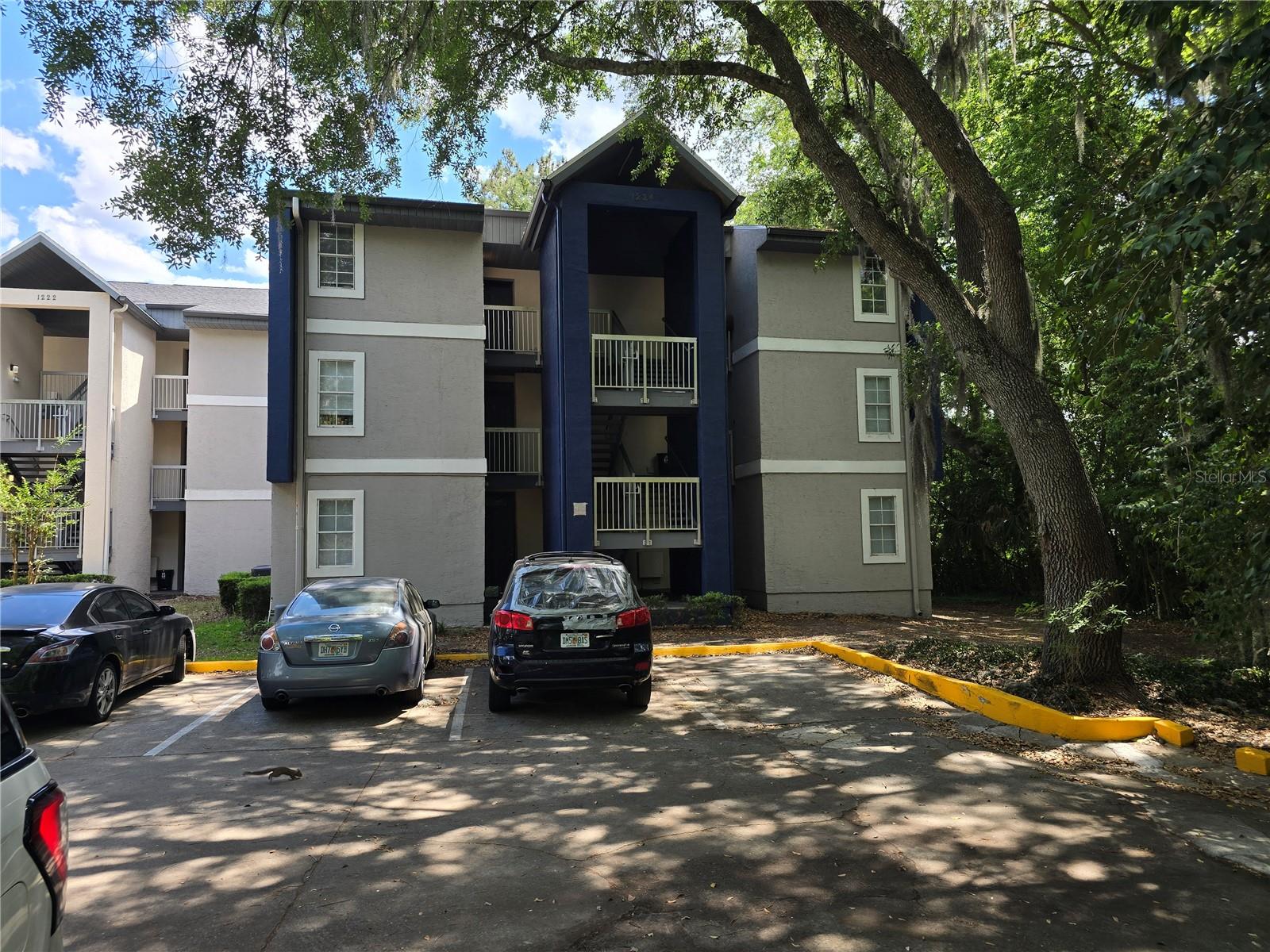 1224 SW 16 AVE #F, GAINESVILLE, FL, 32601