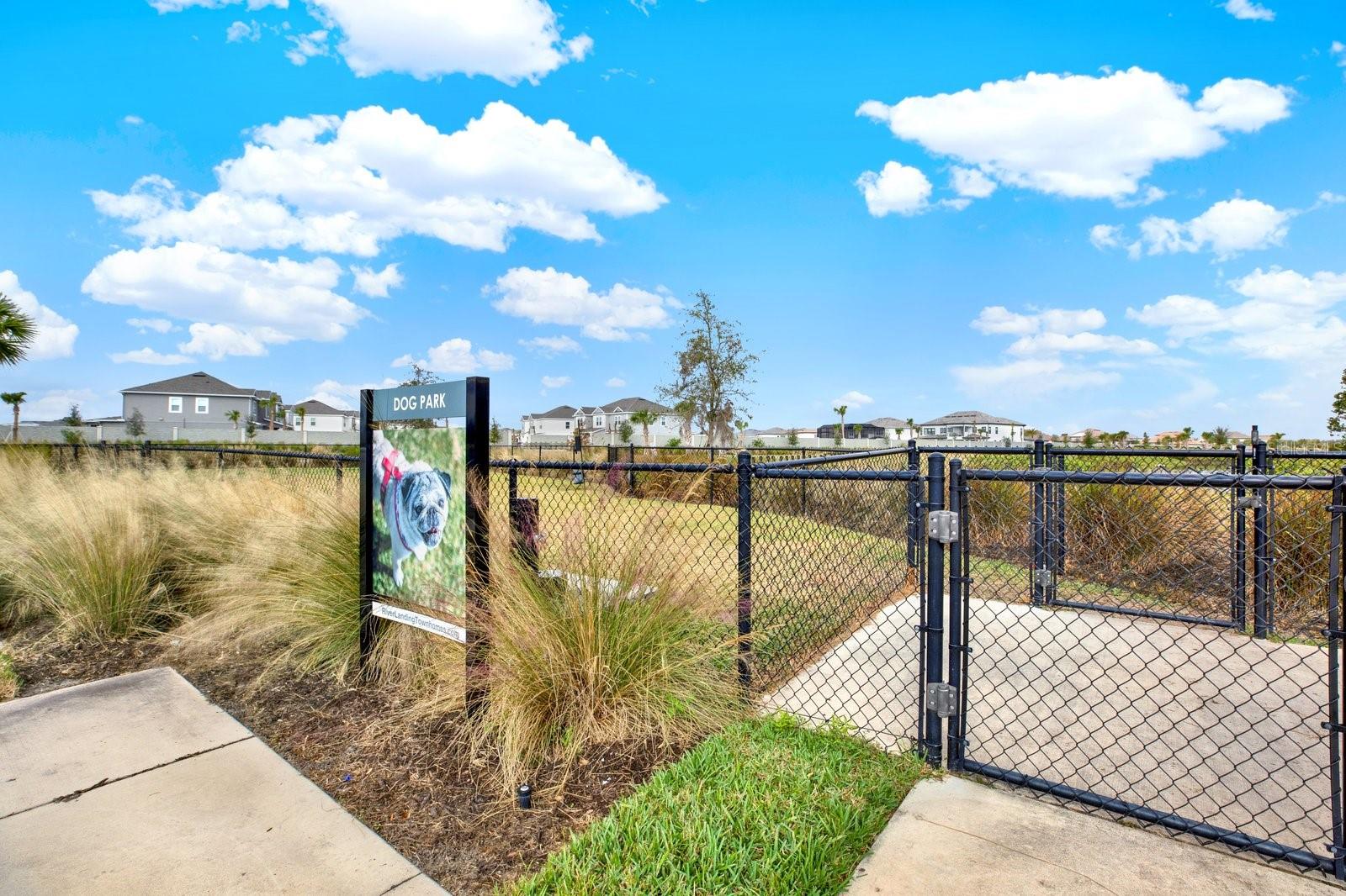 2191 HALLIER CV, WESLEY CHAPEL, FL, 33543