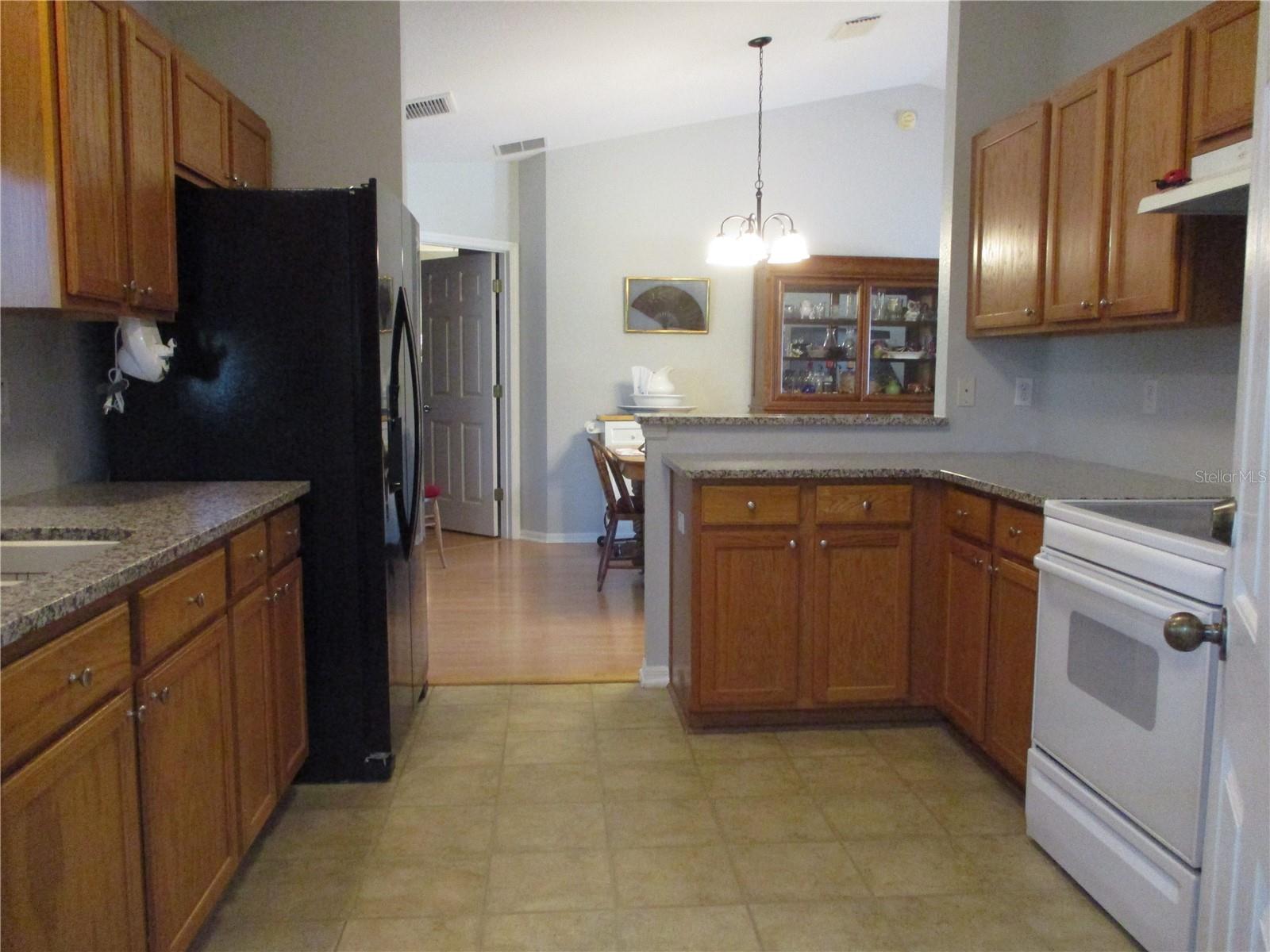 11579 SW 140TH LOOP, DUNNELLON, FL, 34432