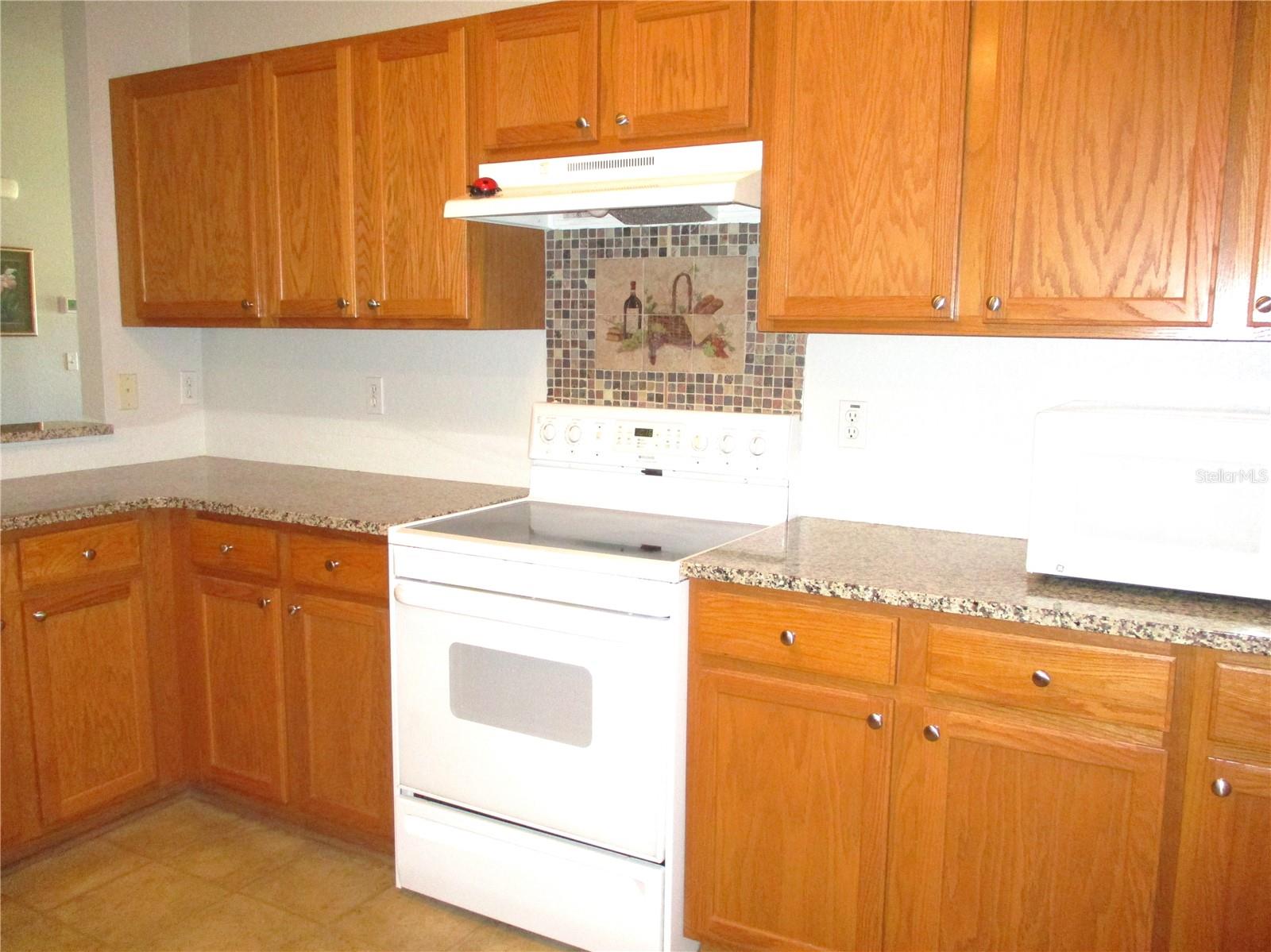 11579 SW 140TH LOOP, DUNNELLON, FL, 34432