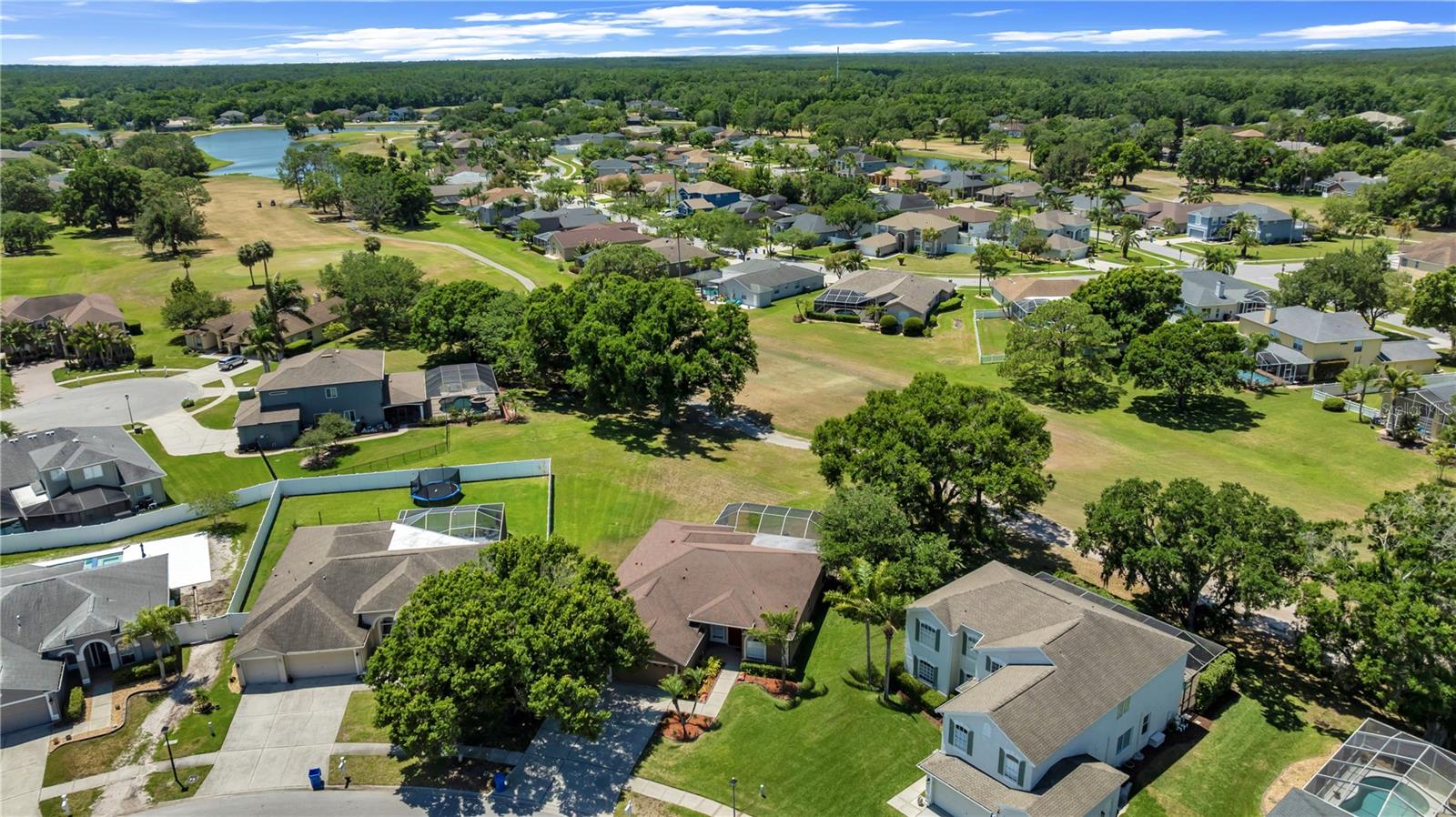 16118 MUIRFIELD DR, ODESSA, FL, 33556