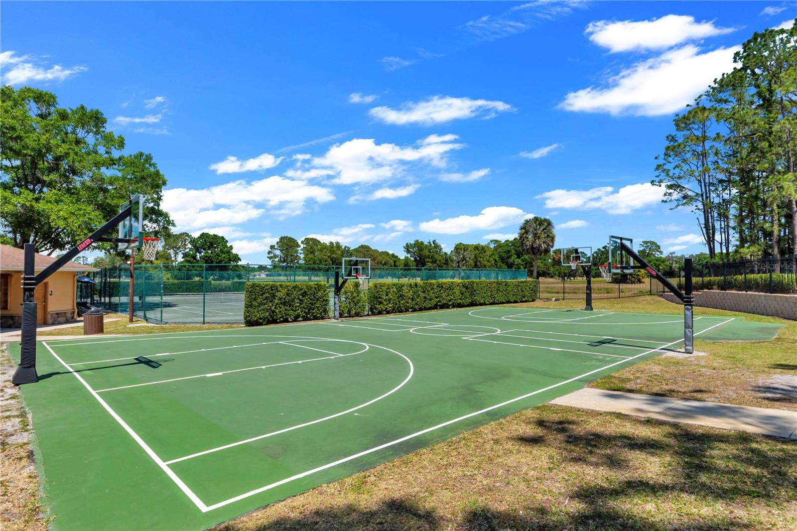 16118 MUIRFIELD DR, ODESSA, FL, 33556