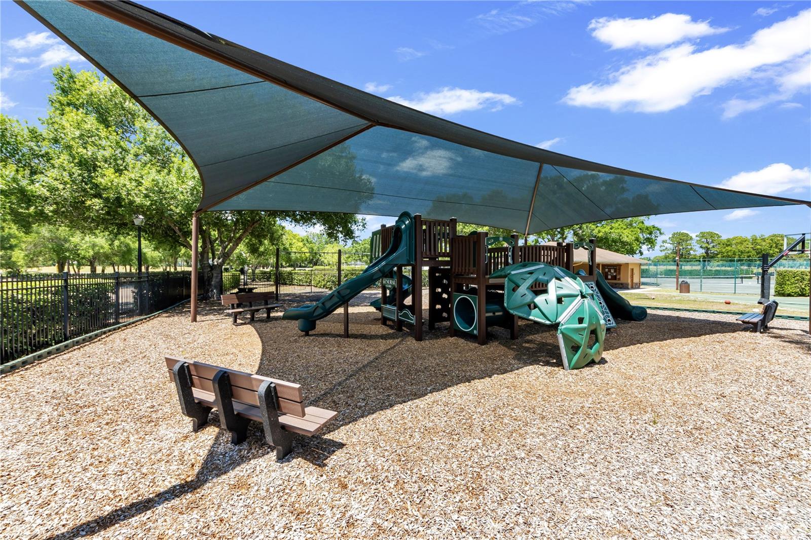 16118 MUIRFIELD DR, ODESSA, FL, 33556