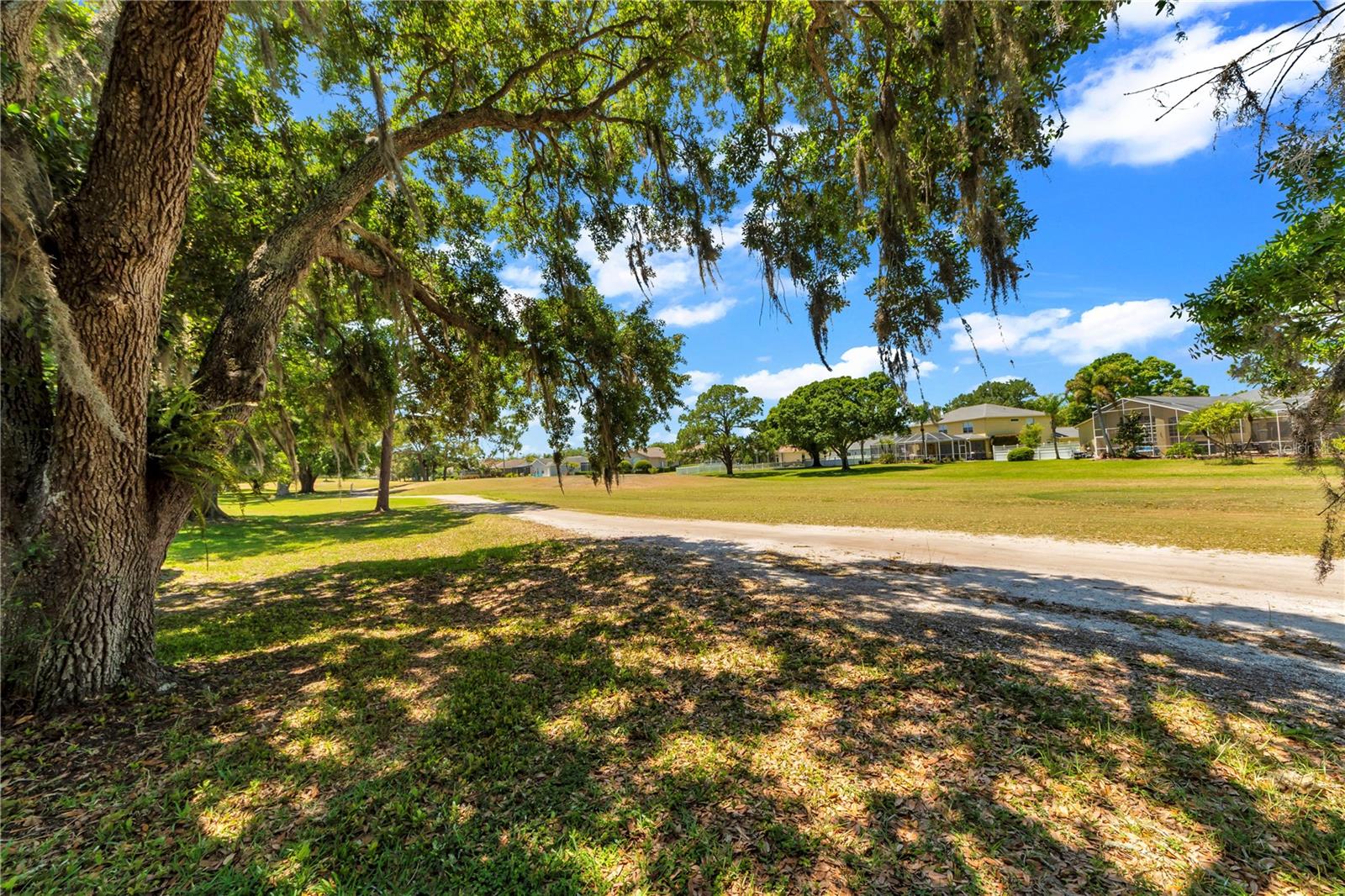 16118 MUIRFIELD DR, ODESSA, FL, 33556