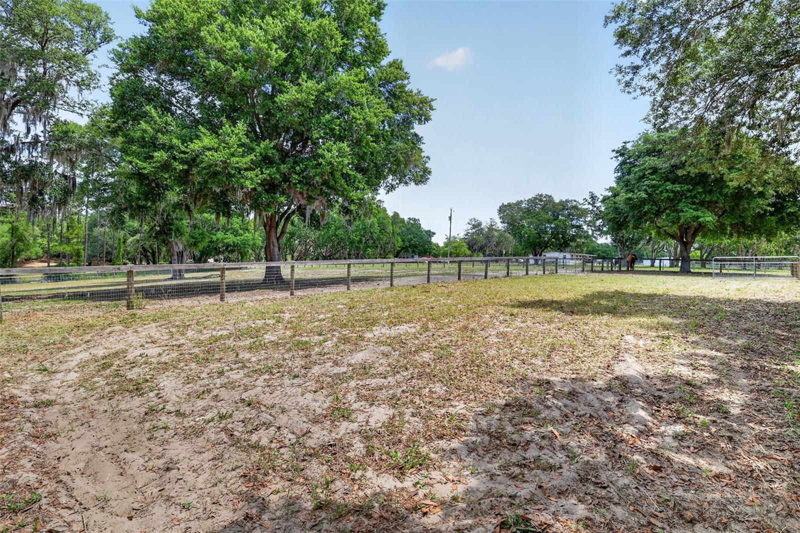 11241 EM EN EL GROVE RD, LEESBURG, FL, 34788