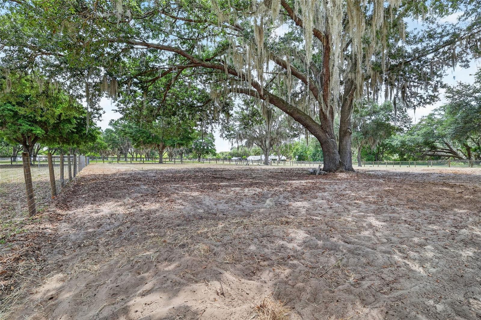 11241 EM EN EL GROVE RD, LEESBURG, FL, 34788