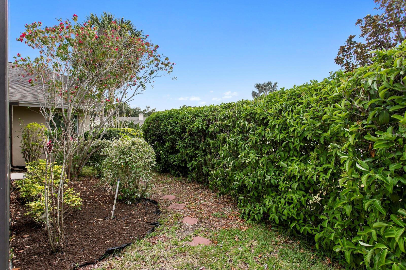 6211 IROQUOIS CT, ODESSA, FL, 33556