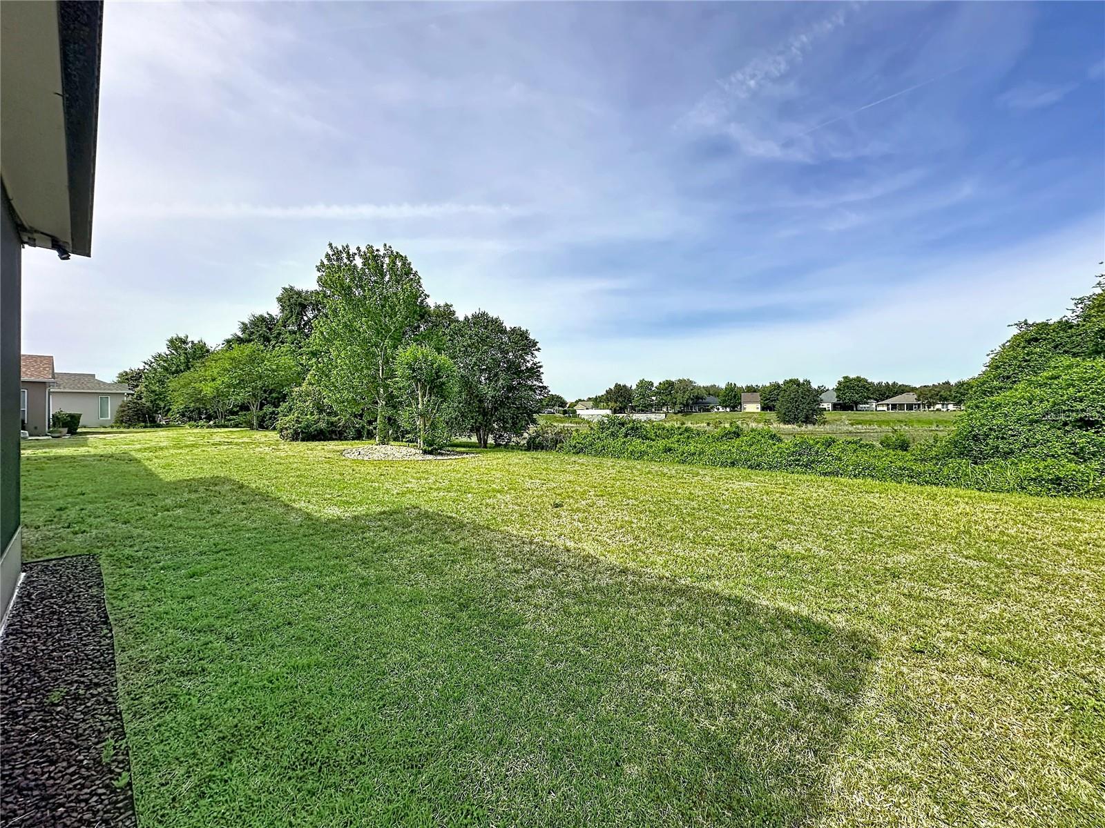 364 SALT MARSH LN, GROVELAND, FL, 34736