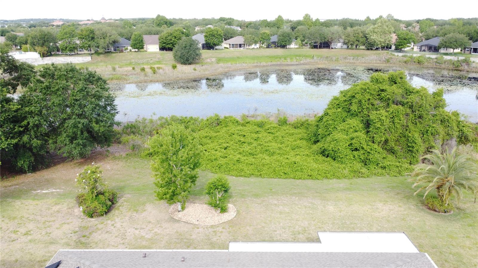 364 SALT MARSH LN, GROVELAND, FL, 34736