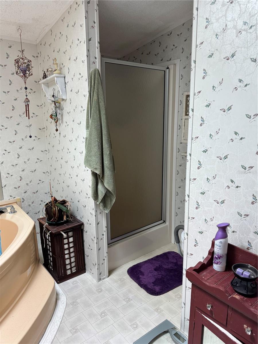 865 SE 178TH TER, SILVER SPRINGS, FL, 34488