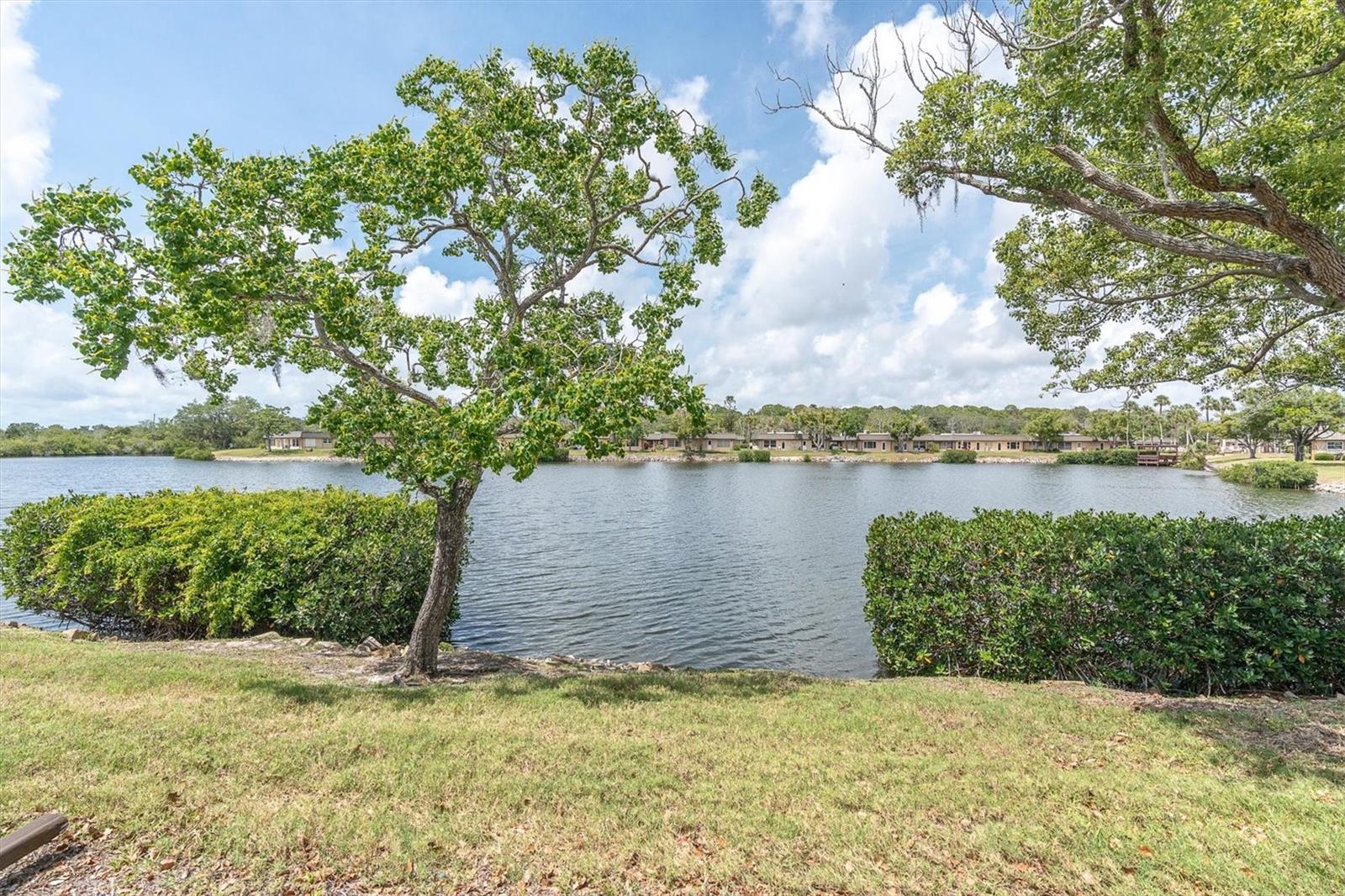 4145 HAMPTON DR, NEW PORT RICHEY, FL, 34652