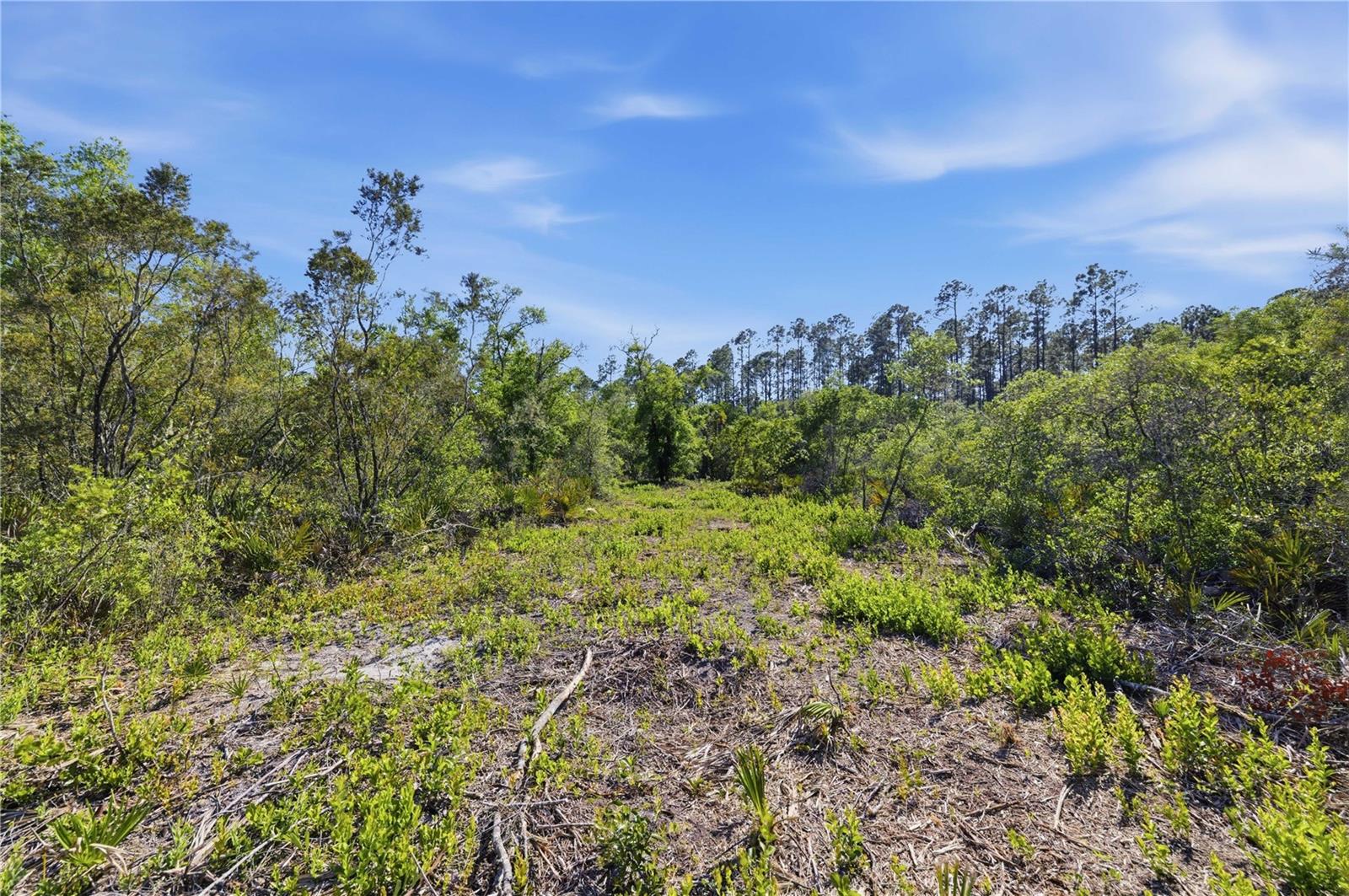 TBD NE 125TH AVE, FORT MC COY, FL, 32134