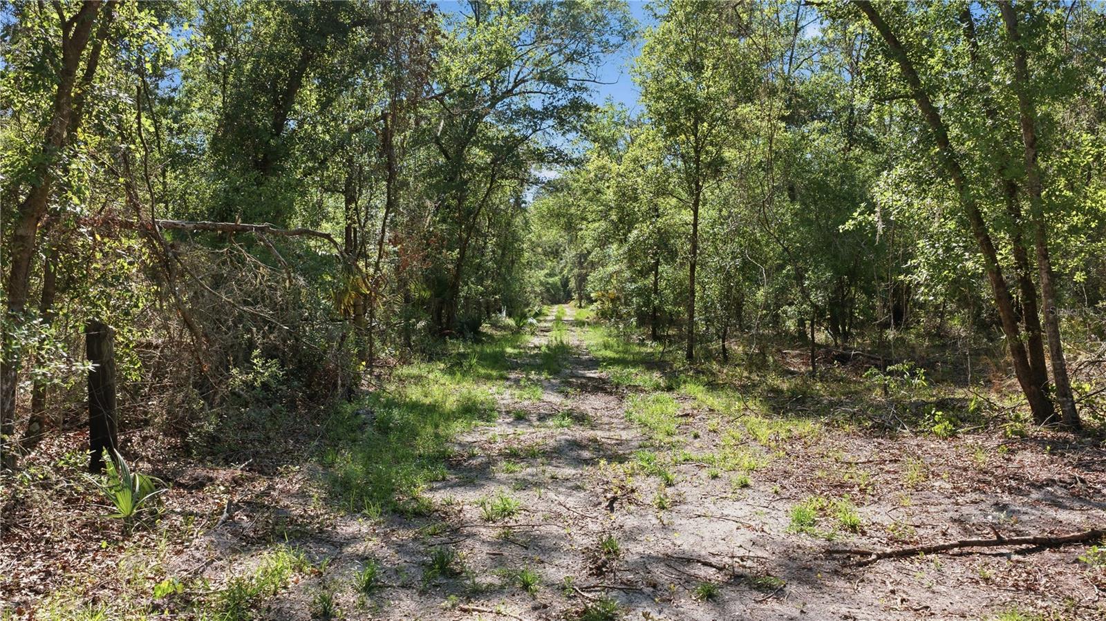 TBD NE 125TH AVE, FORT MC COY, FL, 32134