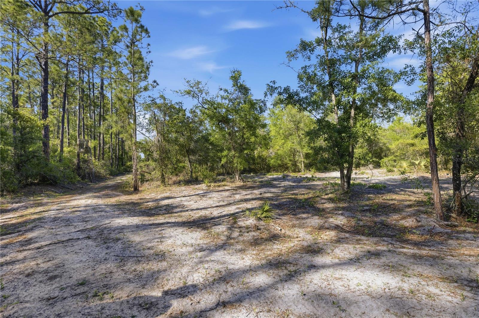 TBD NE 125TH AVE, FORT MC COY, FL, 32134